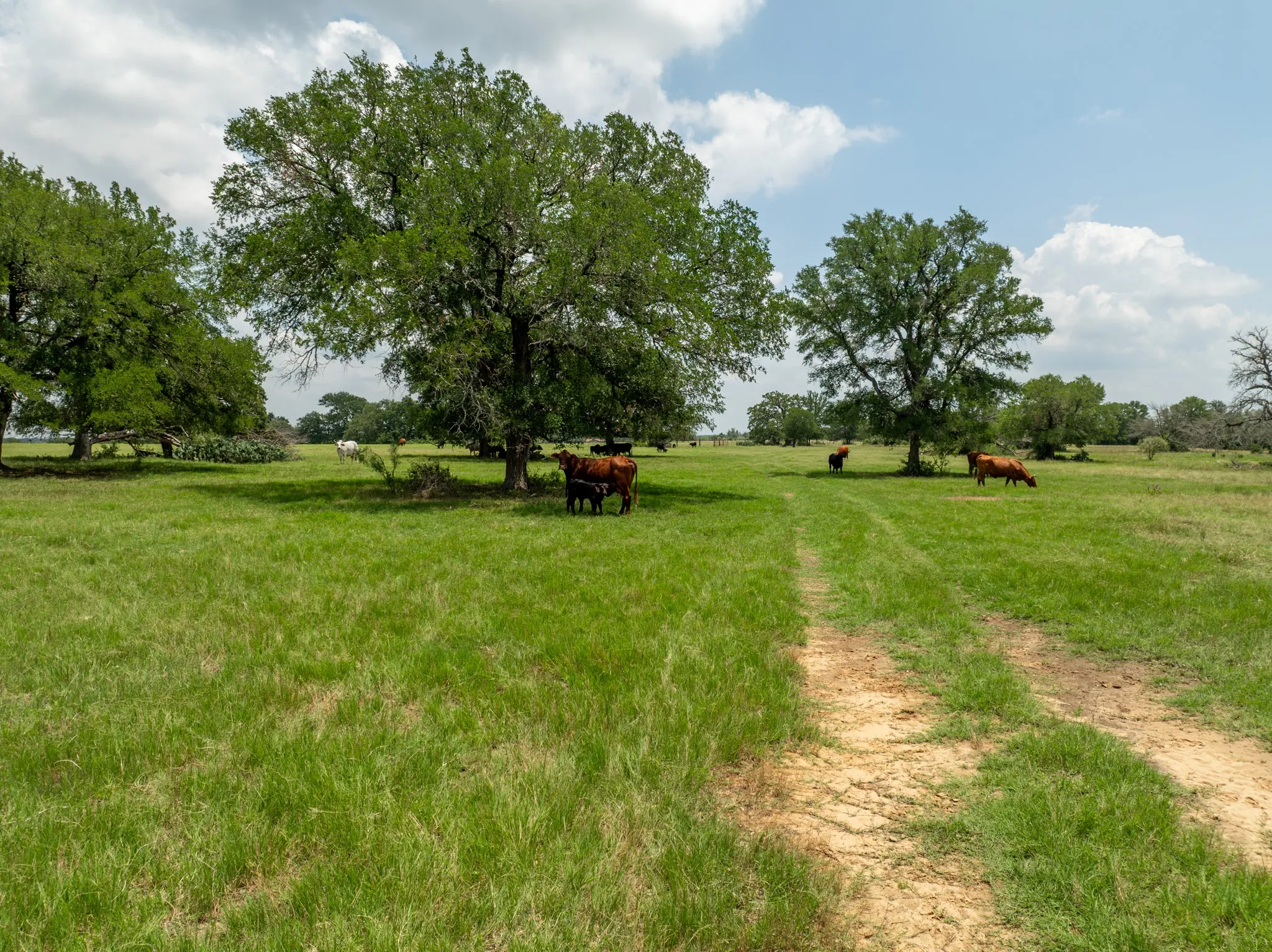 Farm For Sale in Coryell County , 5315 Fm 932, Jonesboro, Texas 76538, 3 Bedrooms, 2 Bathrooms, 2 Garage spaces, 1,812 Sqft, built in 1966, Preowned, Price $4,999,500, mls#20993775, Real Estate Agent in Jonesboro, Homes For Sale in Coryell county, Homes For Sale in Jonesboro, Realtor in Jonesboro Texas, Real Estate Brokerage Independent Realty Texas, Luminita Cordes Realtor