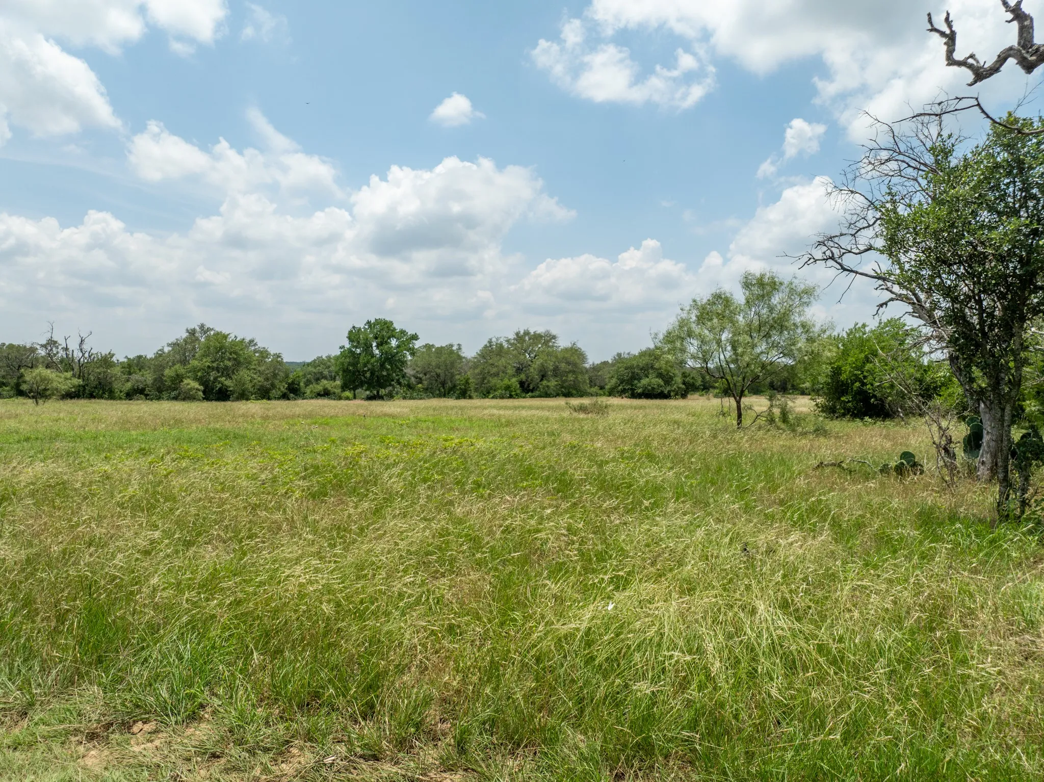 Farm For Sale in Coryell County , 5315 Fm 932, Jonesboro, Texas 76538, 3 Bedrooms, 2 Bathrooms, 2 Garage spaces, 1,812 Sqft, built in 1966, Preowned, Price $4,999,500, mls#20993775, Real Estate Agent in Jonesboro, Homes For Sale in Coryell county, Homes For Sale in Jonesboro, Realtor in Jonesboro Texas, Real Estate Brokerage Independent Realty Texas, Luminita Cordes Realtor