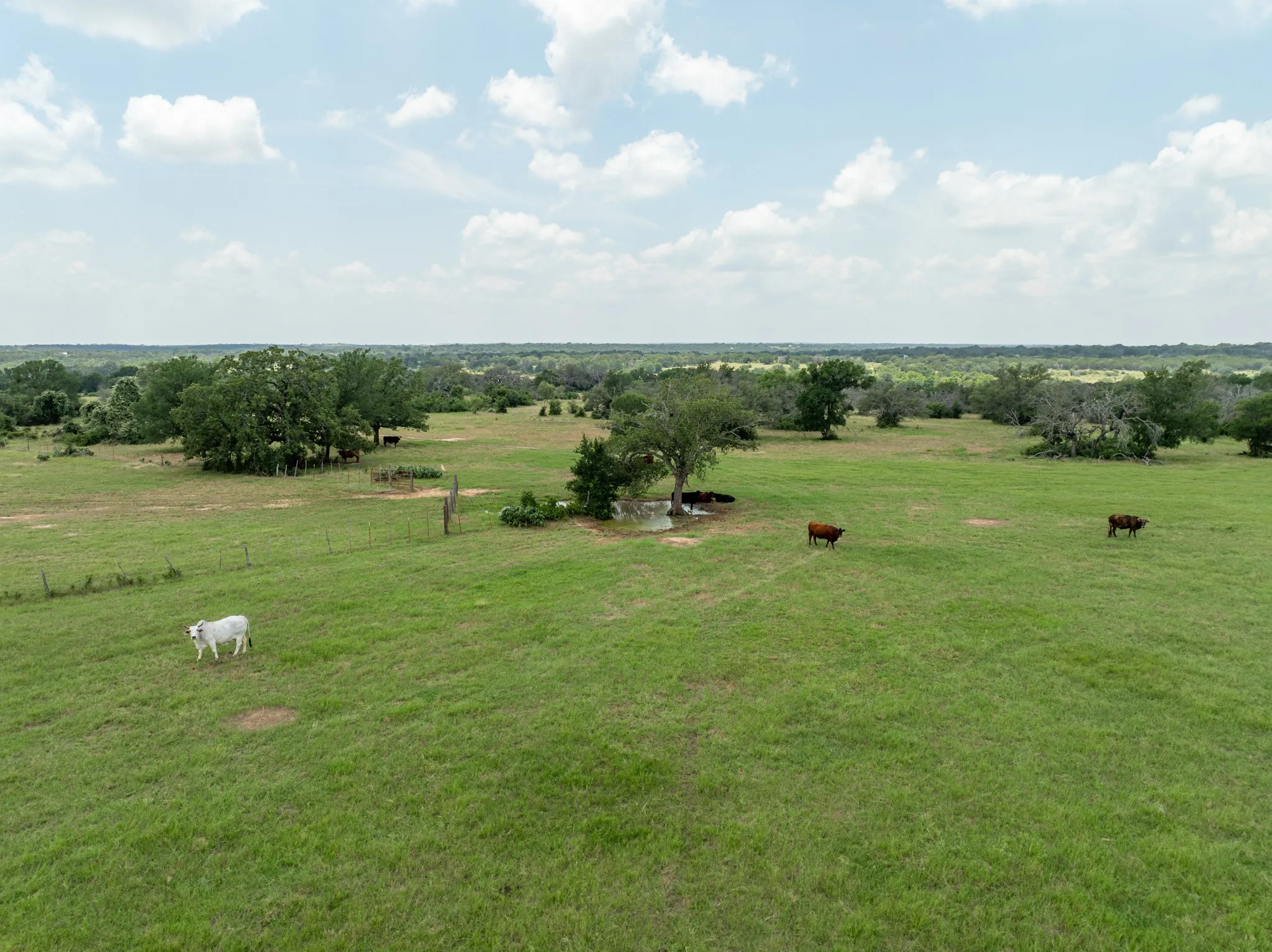 Farm For Sale in Coryell County , 5315 Fm 932, Jonesboro, Texas 76538, 3 Bedrooms, 2 Bathrooms, 2 Garage spaces, 1,812 Sqft, built in 1966, Preowned, Price $4,999,500, mls#20993775, Real Estate Agent in Jonesboro, Homes For Sale in Coryell county, Homes For Sale in Jonesboro, Realtor in Jonesboro Texas, Real Estate Brokerage Independent Realty Texas, Luminita Cordes Realtor