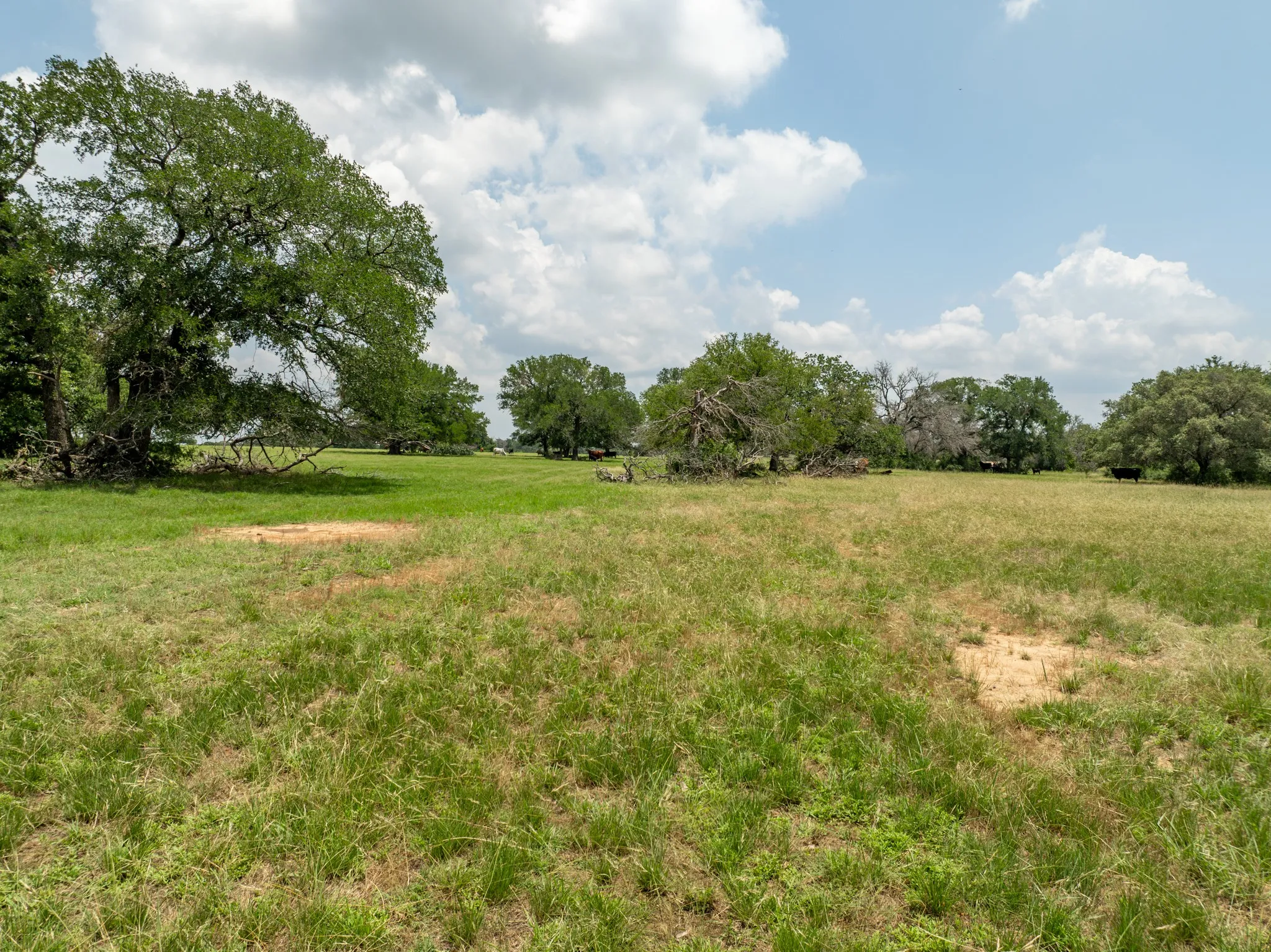 Farm For Sale in Coryell County , 5315 Fm 932, Jonesboro, Texas 76538, 3 Bedrooms, 2 Bathrooms, 2 Garage spaces, 1,812 Sqft, built in 1966, Preowned, Price $4,999,500, mls#20993775, Real Estate Agent in Jonesboro, Homes For Sale in Coryell county, Homes For Sale in Jonesboro, Realtor in Jonesboro Texas, Real Estate Brokerage Independent Realty Texas, Luminita Cordes Realtor