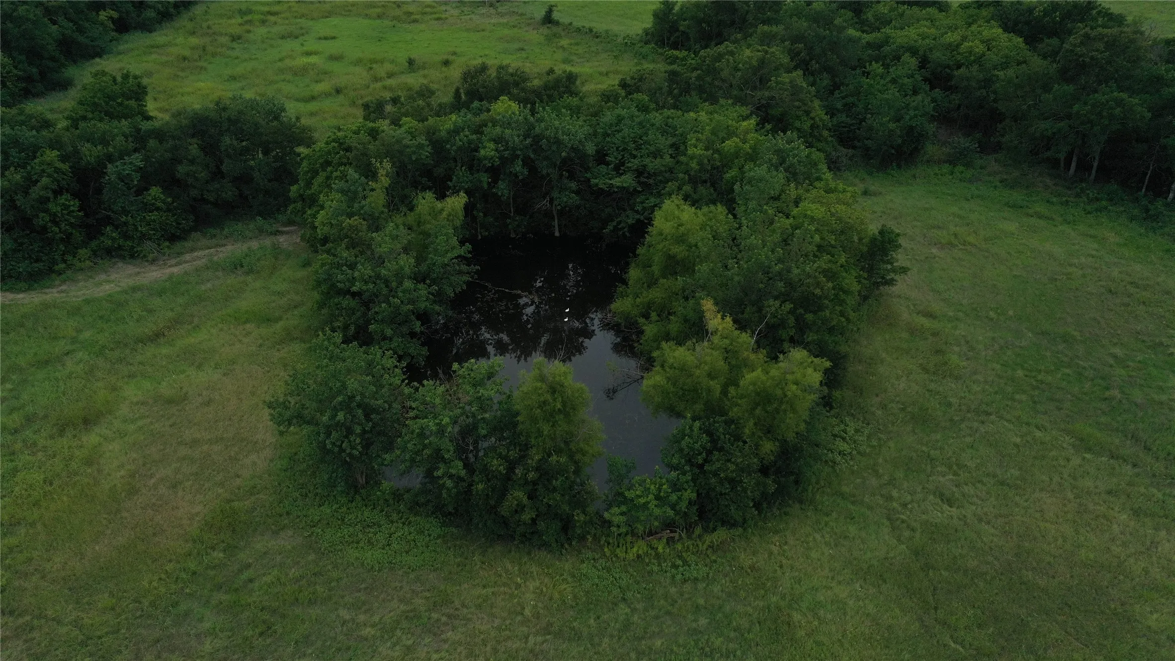 Aerial view of property's location
