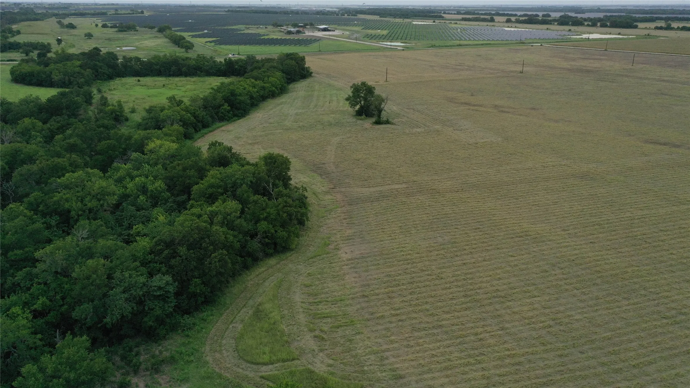 View of rural area featuring rows of crops