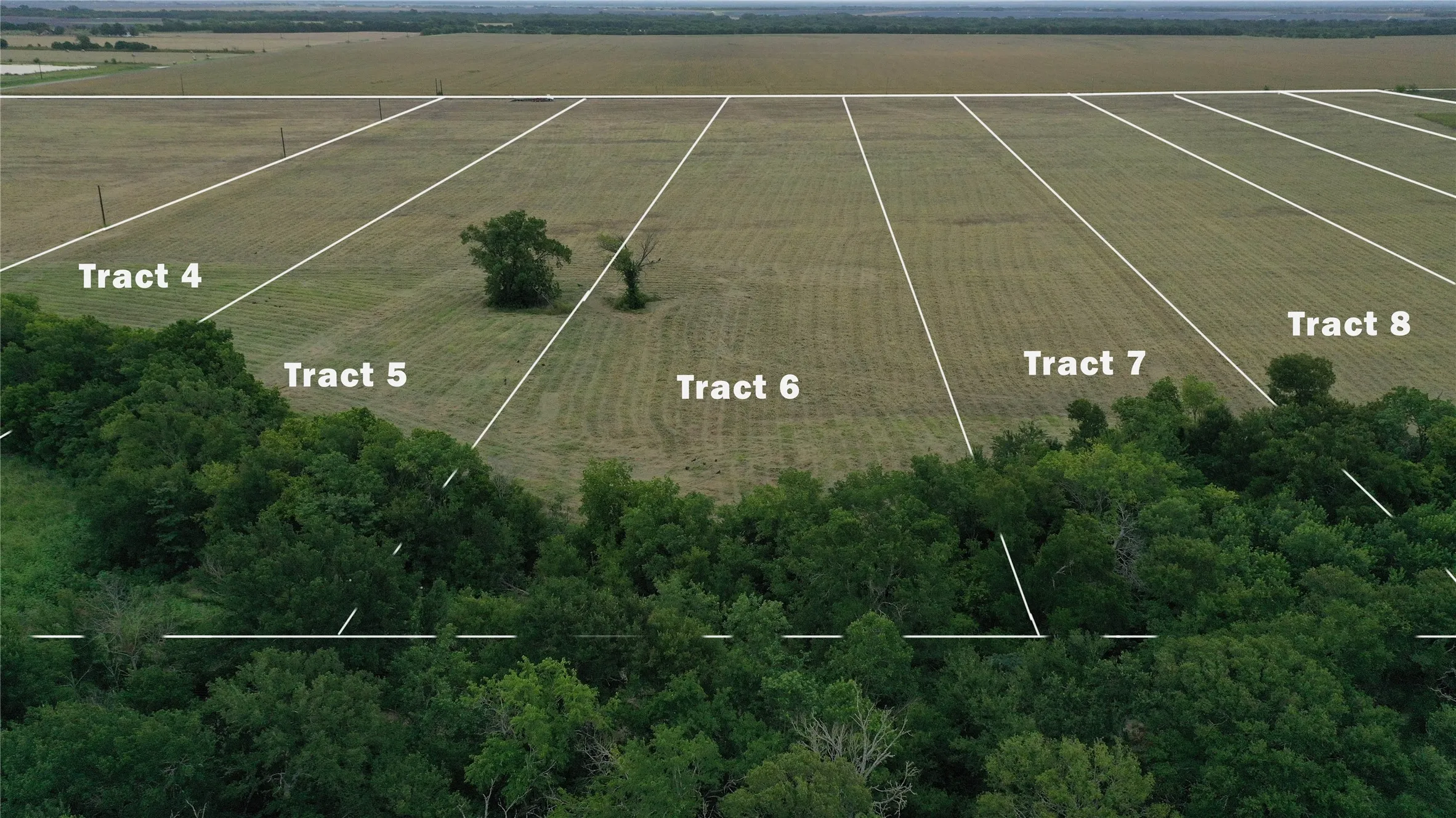Improved Land For Sale in Falls County , TBD - Tract 6 CR 151, Riesel, Texas 76682, 0, 0, Garage spaces, 0 Sqft, built in 0, Price $139,000, mls#20991482, Real Estate Agent in Riesel, Homes For Sale in Falls county, Homes For Sale in Riesel, Realtor in Riesel Texas, Real Estate Brokerage Independent Realty Texas, Luminita Cordes Realtor