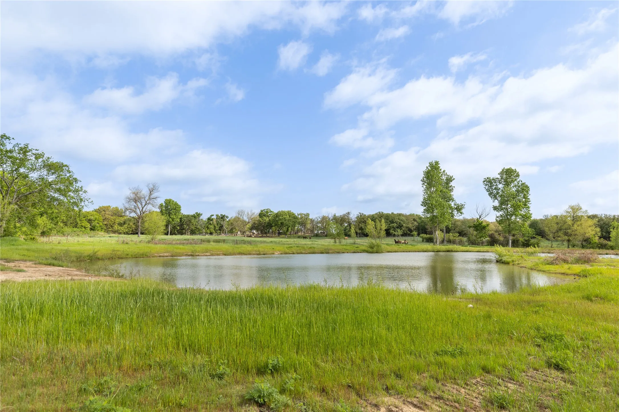 Farm For Sale in Cooke County , 8016 E US HWY 82, Gainesville, Texas 76240, 3 Bedroom, 5 Bathroom, Garage spaces, 1,782 Sqft, built in 2018, mls#20941405, Real Estate Agent in Gainesville, Homes For Sale in Cooke county, Homes For Sale in Gainesville, Realtor in Gainesville Texas, Real Estate Brokerage Independent Realty Texas, Luminita Cordes Realtor