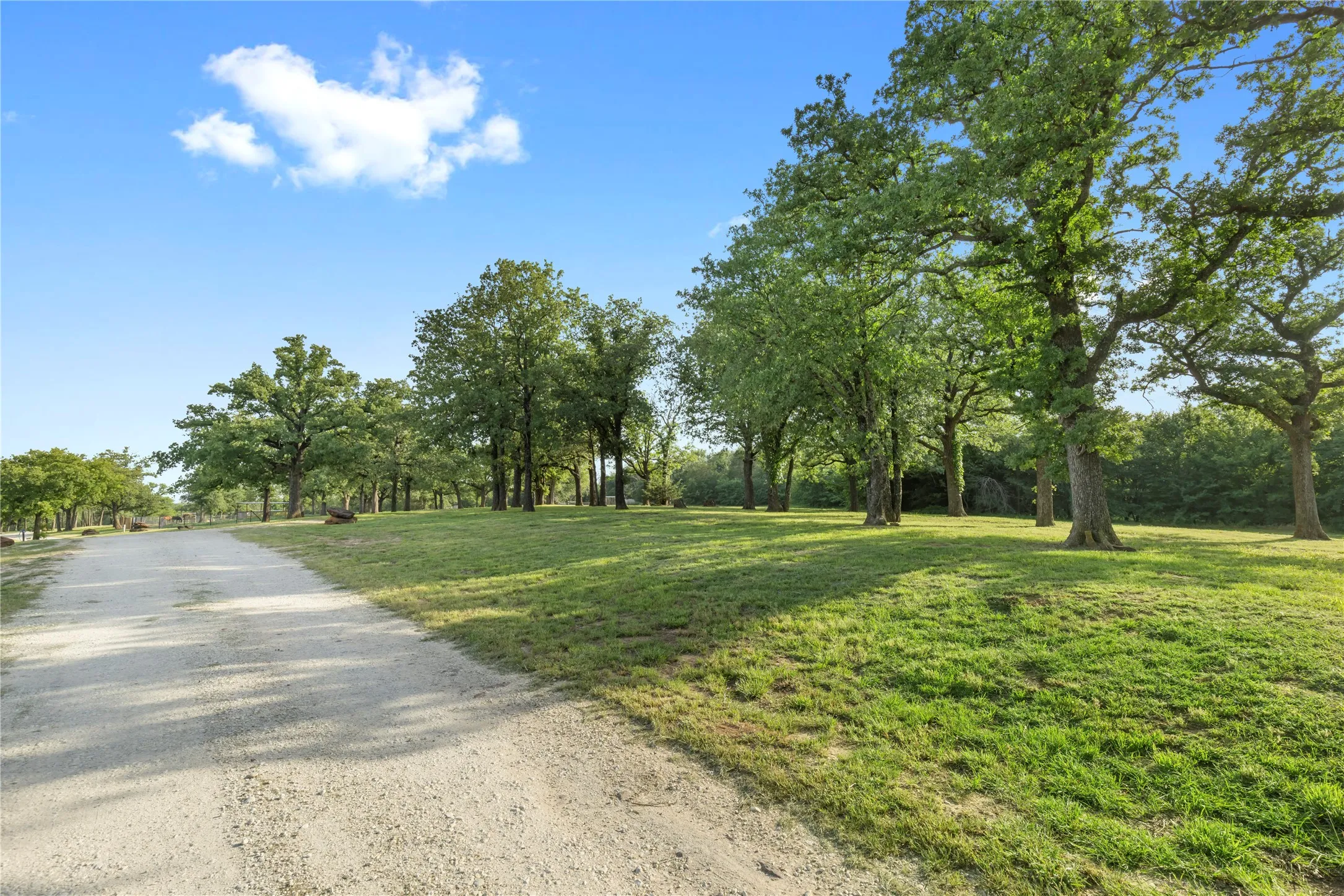 Farm For Sale in Cooke County , 8016 E US HWY 82, Gainesville, Texas 76240, 3 Bedroom, 5 Bathroom, Garage spaces, 1,782 Sqft, built in 2018, mls#20941405, Real Estate Agent in Gainesville, Homes For Sale in Cooke county, Homes For Sale in Gainesville, Realtor in Gainesville Texas, Real Estate Brokerage Independent Realty Texas, Luminita Cordes Realtor