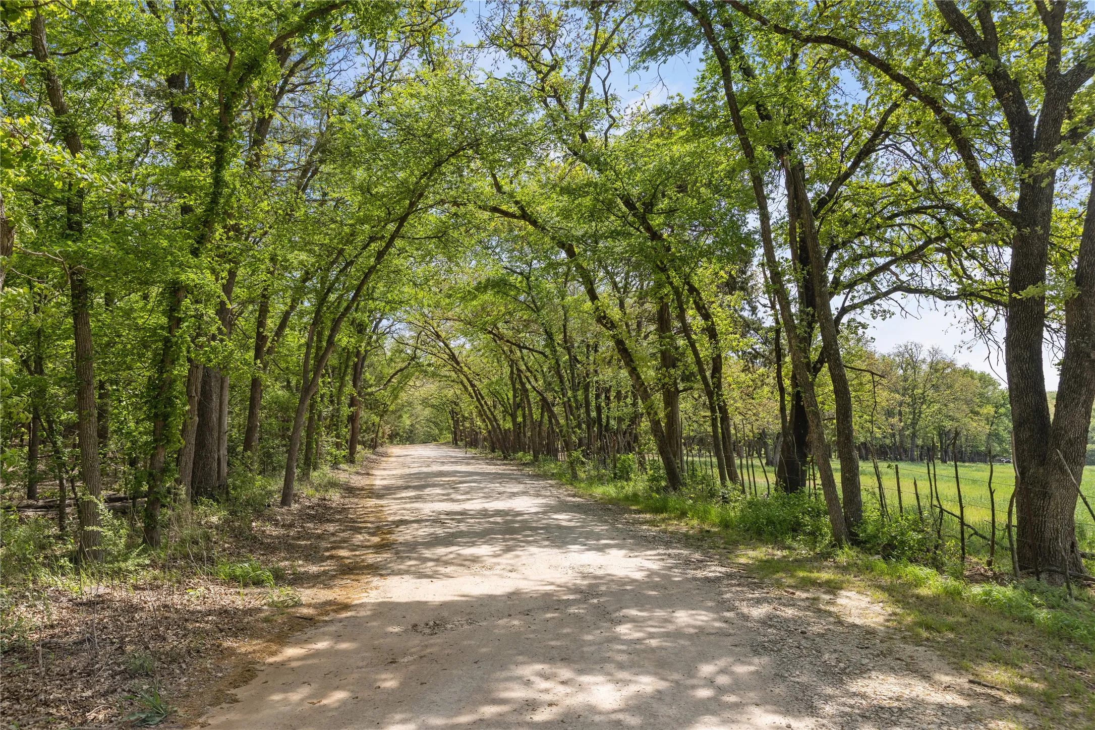 Farm For Sale in Cooke County , 8016 E US HWY 82, Gainesville, Texas 76240, 3 Bedroom, 5 Bathroom, Garage spaces, 1,782 Sqft, built in 2018, mls#20941405, Real Estate Agent in Gainesville, Homes For Sale in Cooke county, Homes For Sale in Gainesville, Realtor in Gainesville Texas, Real Estate Brokerage Independent Realty Texas, Luminita Cordes Realtor