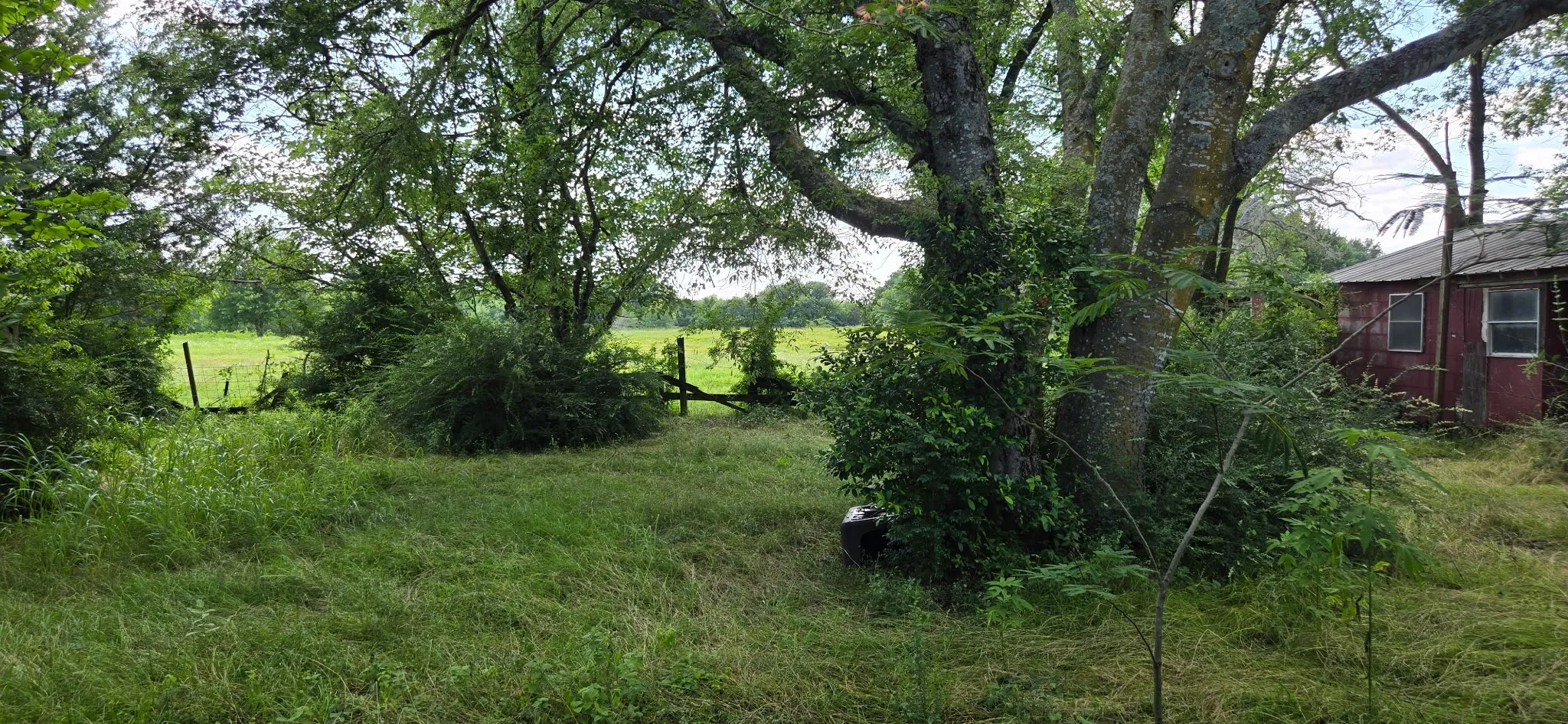 Improved Land For Sale in Henderson County , 12077 County Road 1200, Malakoff, Texas 75148, 0, 0, Garage spaces, 0 Sqft, built in 1986, mls#20995186, Real Estate Agent in Malakoff, Homes For Sale in Henderson county, Homes For Sale in Malakoff, Realtor in Malakoff Texas, Real Estate Brokerage Independent Realty Texas, Luminita Cordes Realtor