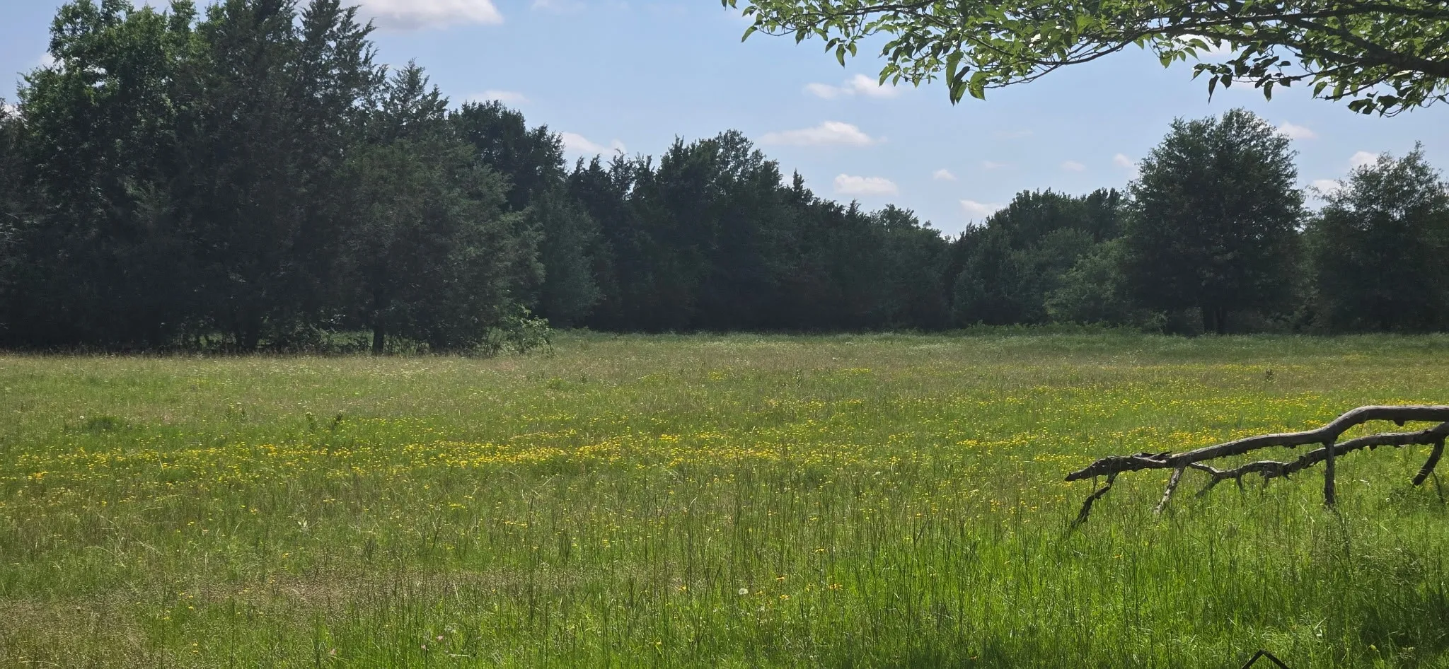 Improved Land For Sale in Henderson County , 12077 County Road 1200, Malakoff, Texas 75148, 0, 0, Garage spaces, 0 Sqft, built in 1986, mls#20995186, Real Estate Agent in Malakoff, Homes For Sale in Henderson county, Homes For Sale in Malakoff, Realtor in Malakoff Texas, Real Estate Brokerage Independent Realty Texas, Luminita Cordes Realtor