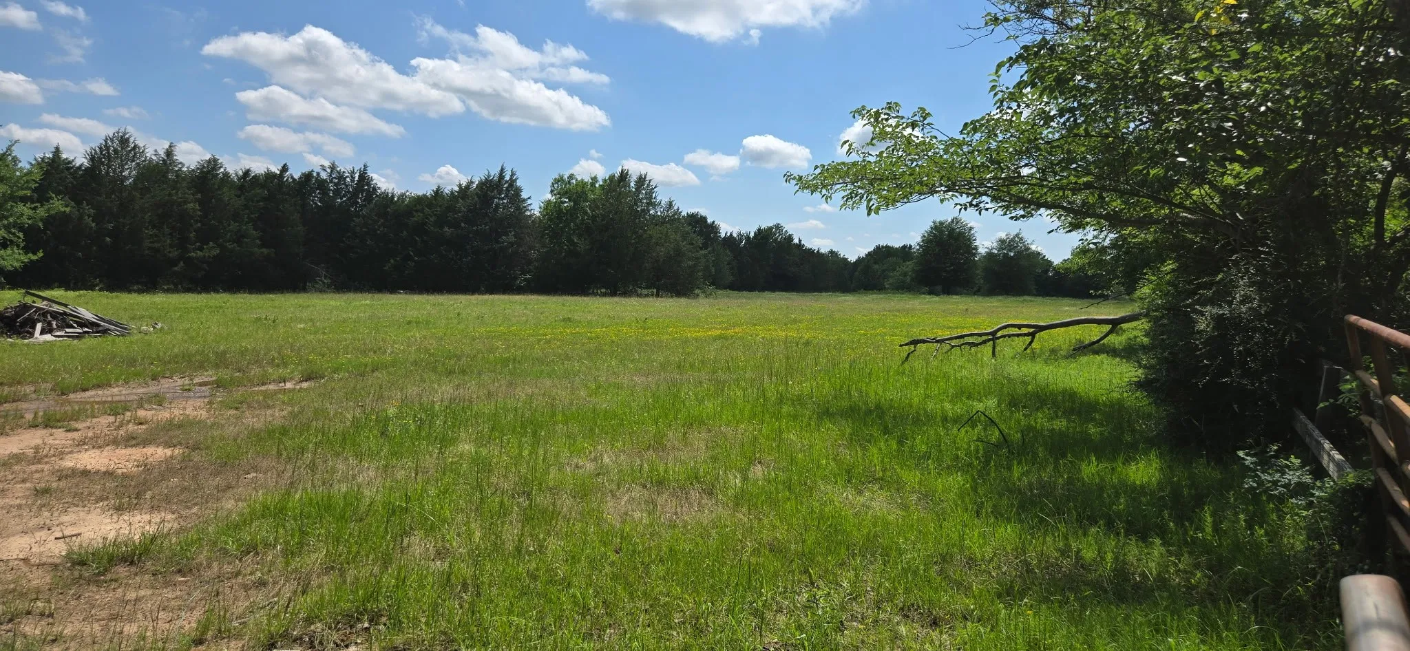 Improved Land For Sale in Henderson County , 12077 County Road 1200, Malakoff, Texas 75148, 0, 0, Garage spaces, 0 Sqft, built in 1986, mls#20995186, Real Estate Agent in Malakoff, Homes For Sale in Henderson county, Homes For Sale in Malakoff, Realtor in Malakoff Texas, Real Estate Brokerage Independent Realty Texas, Luminita Cordes Realtor