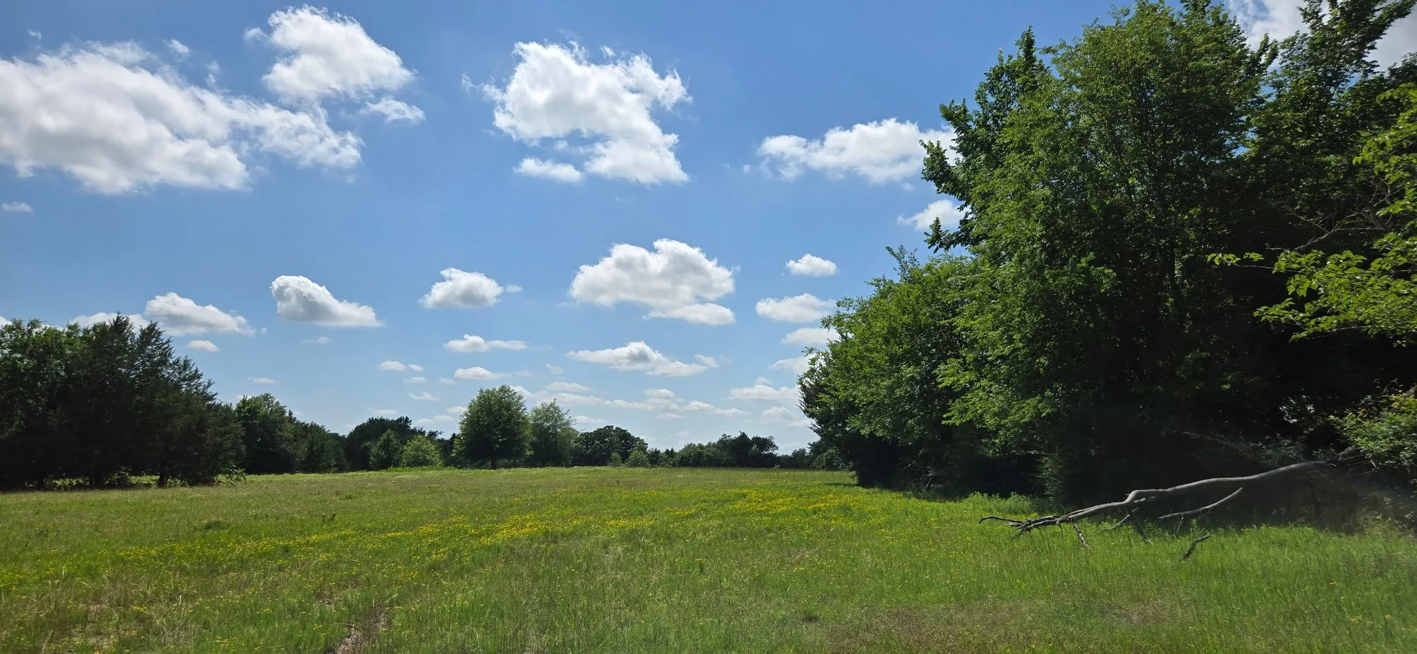 Improved Land For Sale in Henderson County , 12077 County Road 1200, Malakoff, Texas 75148, 0, 0, Garage spaces, 0 Sqft, built in 1986, mls#20995186, Real Estate Agent in Malakoff, Homes For Sale in Henderson county, Homes For Sale in Malakoff, Realtor in Malakoff Texas, Real Estate Brokerage Independent Realty Texas, Luminita Cordes Realtor