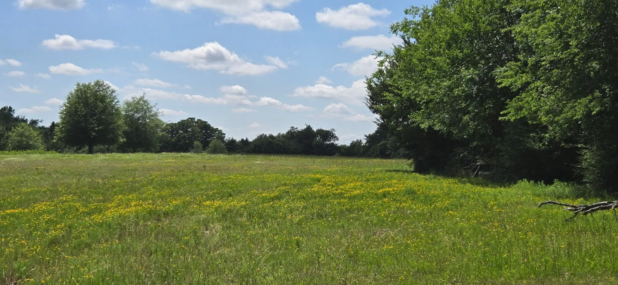 Improved Land For Sale in Henderson County , 12077 County Road 1200, Malakoff, Texas 75148, 0, 0, Garage spaces, 0 Sqft, built in 1986, mls#20995186, Real Estate Agent in Malakoff, Homes For Sale in Henderson county, Homes For Sale in Malakoff, Realtor in Malakoff Texas, Real Estate Brokerage Independent Realty Texas, Luminita Cordes Realtor