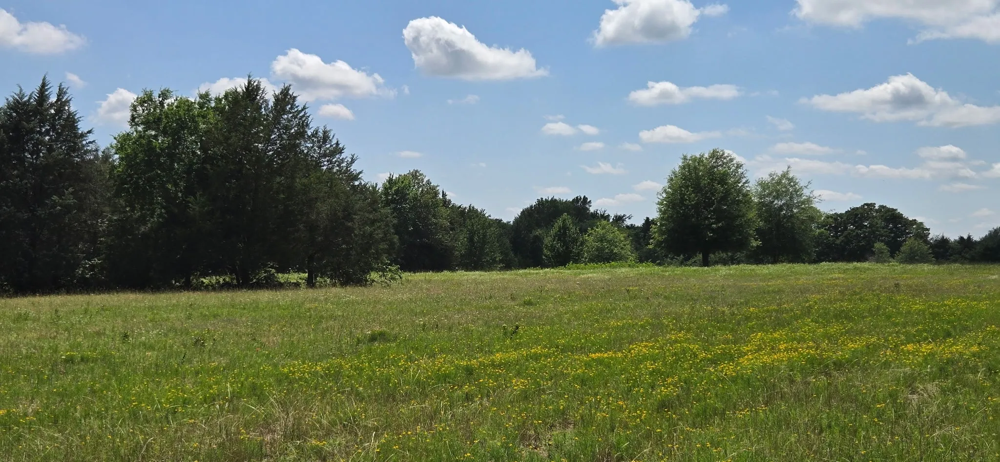 Improved Land For Sale in Henderson County , 12077 County Road 1200, Malakoff, Texas 75148, 0, 0, Garage spaces, 0 Sqft, built in 1986, mls#20995186, Real Estate Agent in Malakoff, Homes For Sale in Henderson county, Homes For Sale in Malakoff, Realtor in Malakoff Texas, Real Estate Brokerage Independent Realty Texas, Luminita Cordes Realtor