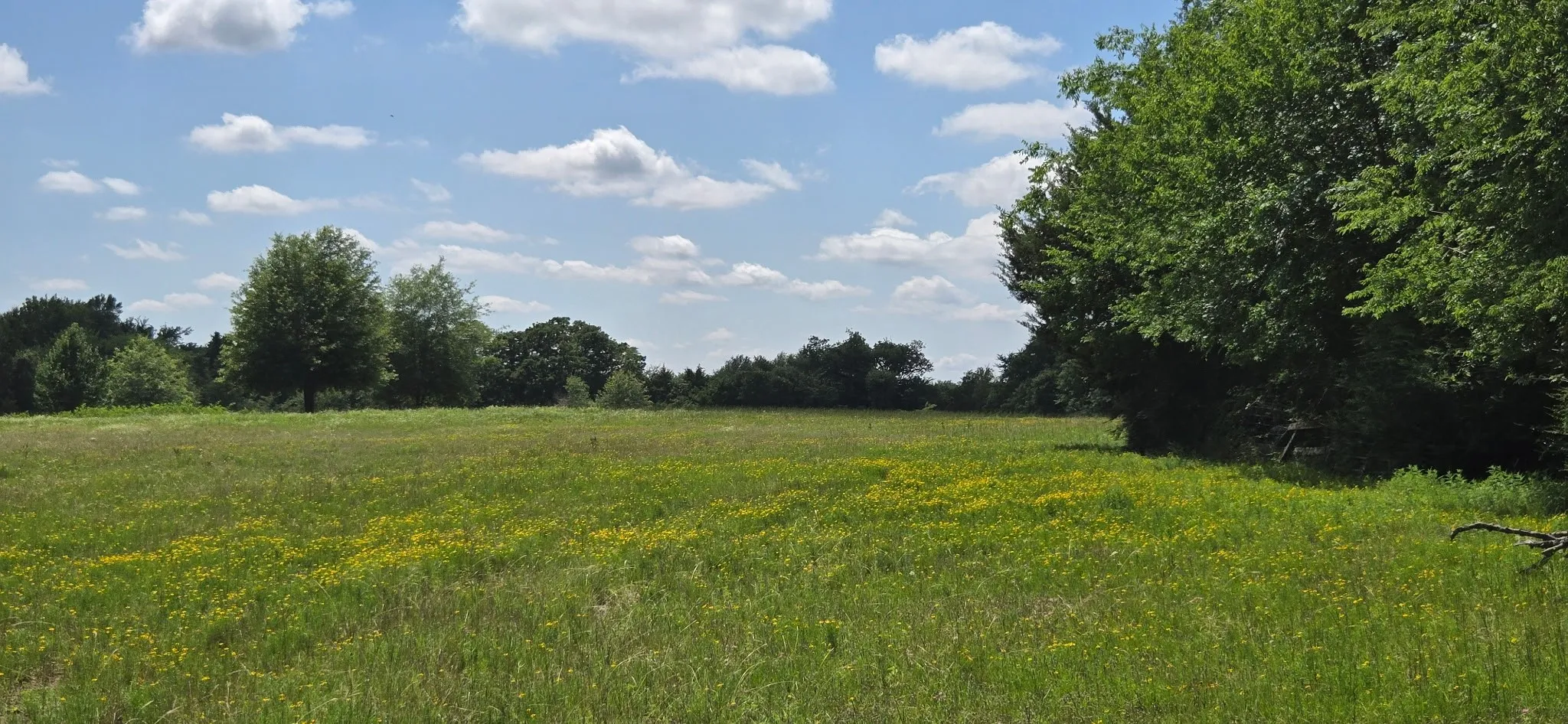 Improved Land For Sale in Henderson County , 12077 County Road 1200, Malakoff, Texas 75148, 0, 0, Garage spaces, 0 Sqft, built in 1986, mls#20995186, Real Estate Agent in Malakoff, Homes For Sale in Henderson county, Homes For Sale in Malakoff, Realtor in Malakoff Texas, Real Estate Brokerage Independent Realty Texas, Luminita Cordes Realtor