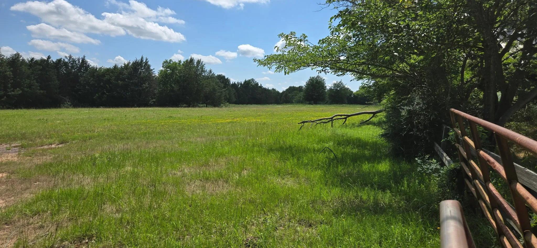 Improved Land For Sale in Henderson County , 12077 County Road 1200, Malakoff, Texas 75148, 0, 0, Garage spaces, 0 Sqft, built in 1986, mls#20995186, Real Estate Agent in Malakoff, Homes For Sale in Henderson county, Homes For Sale in Malakoff, Realtor in Malakoff Texas, Real Estate Brokerage Independent Realty Texas, Luminita Cordes Realtor