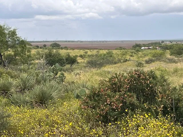 Unimproved Land For Sale in Taylor County , TBD3 County Road 405, Merkel, Texas 79536, 0, 0, Garage spaces, 0 Sqft, built in 0, Price $88,000, mls#20995881, Real Estate Agent in Merkel, Homes For Sale in Taylor county, Homes For Sale in Merkel, Realtor in Merkel Texas, Real Estate Brokerage Independent Realty Texas, Luminita Cordes Realtor