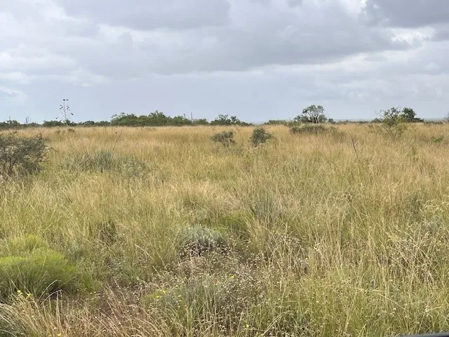 Unimproved Land For Sale in Taylor County , TBD3 County Road 405, Merkel, Texas 79536, 0, 0, Garage spaces, 0 Sqft, built in 0, Price $88,000, mls#20995881, Real Estate Agent in Merkel, Homes For Sale in Taylor county, Homes For Sale in Merkel, Realtor in Merkel Texas, Real Estate Brokerage Independent Realty Texas, Luminita Cordes Realtor