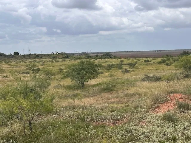 Unimproved Land For Sale in Taylor County , TBD3 County Road 405, Merkel, Texas 79536, 0, 0, Garage spaces, 0 Sqft, built in 0, Price $88,000, mls#20995881, Real Estate Agent in Merkel, Homes For Sale in Taylor county, Homes For Sale in Merkel, Realtor in Merkel Texas, Real Estate Brokerage Independent Realty Texas, Luminita Cordes Realtor