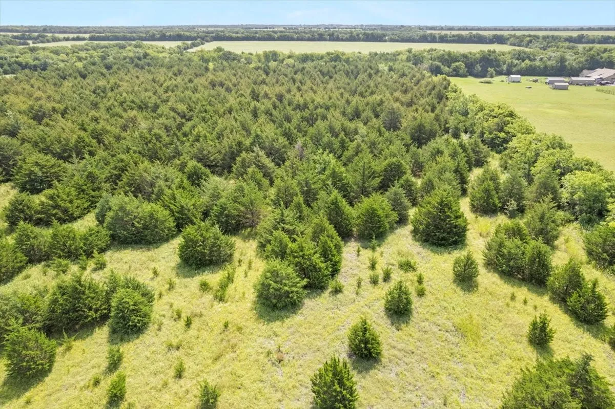 Unimproved Land For Sale in Hunt County , TBD County Road 1061, Greenville, Texas 75401, 0, 0, Garage spaces, 0 Sqft, built in 1995, mls#20986552, Real Estate Agent in Greenville, Homes For Sale in Hunt county, Homes For Sale in Greenville, Realtor in Greenville Texas, Real Estate Brokerage Independent Realty Texas, Luminita Cordes Realtor