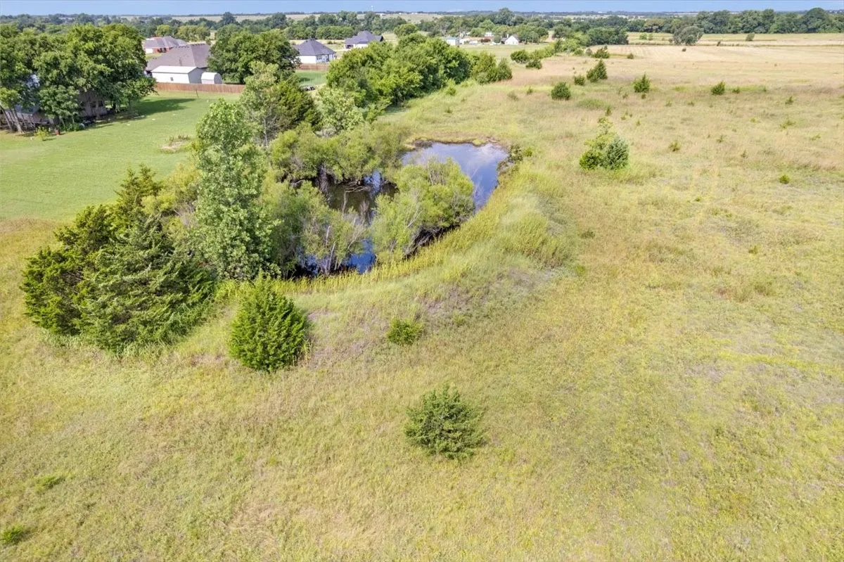 Pond #1