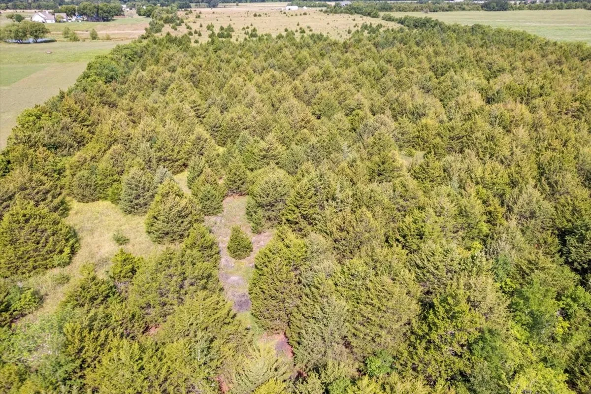 Unimproved Land For Sale in Hunt County , TBD County Road 1061, Greenville, Texas 75401, 0, 0, Garage spaces, 0 Sqft, built in 1995, mls#20986552, Real Estate Agent in Greenville, Homes For Sale in Hunt county, Homes For Sale in Greenville, Realtor in Greenville Texas, Real Estate Brokerage Independent Realty Texas, Luminita Cordes Realtor