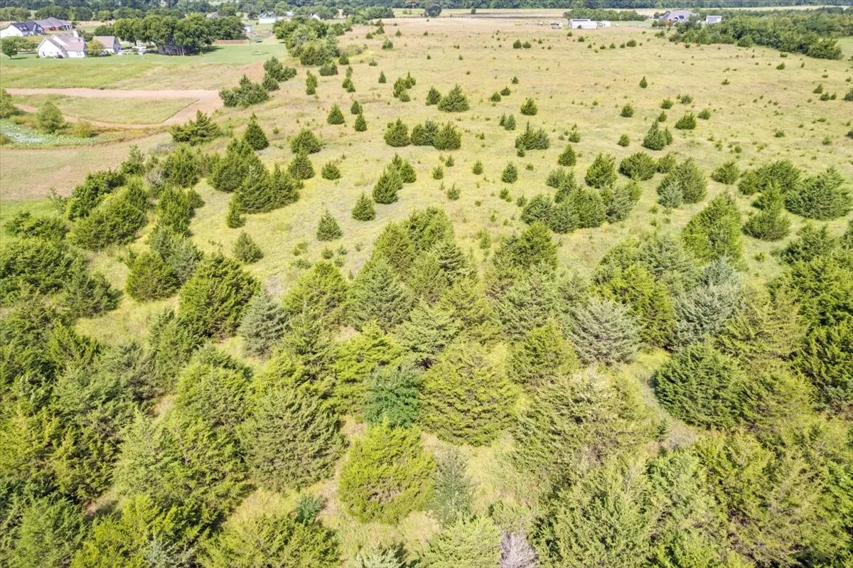 Unimproved Land For Sale in Hunt County , TBD County Road 1061, Greenville, Texas 75401, 0, 0, Garage spaces, 0 Sqft, built in 1995, mls#20986552, Real Estate Agent in Greenville, Homes For Sale in Hunt county, Homes For Sale in Greenville, Realtor in Greenville Texas, Real Estate Brokerage Independent Realty Texas, Luminita Cordes Realtor