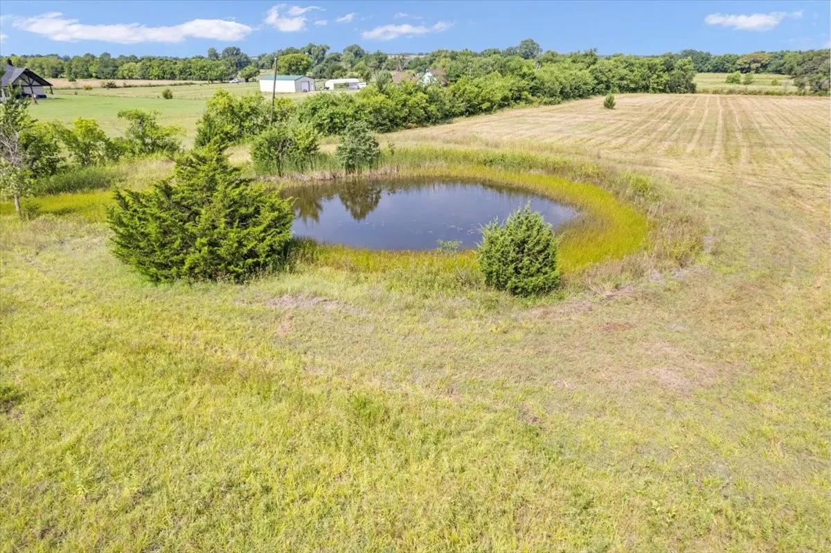 Lovely pond #2