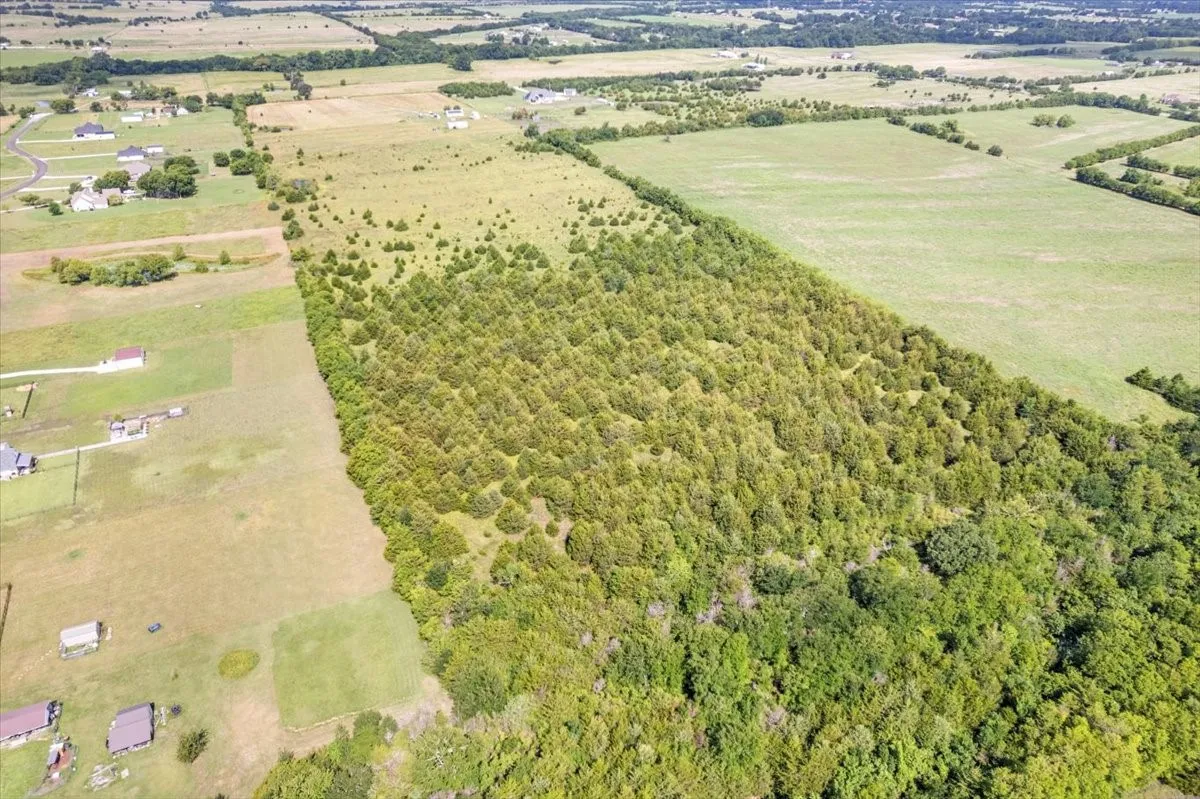 Unimproved Land For Sale in Hunt County , TBD County Road 1061, Greenville, Texas 75401, 0, 0, Garage spaces, 0 Sqft, built in 1995, mls#20986552, Real Estate Agent in Greenville, Homes For Sale in Hunt county, Homes For Sale in Greenville, Realtor in Greenville Texas, Real Estate Brokerage Independent Realty Texas, Luminita Cordes Realtor