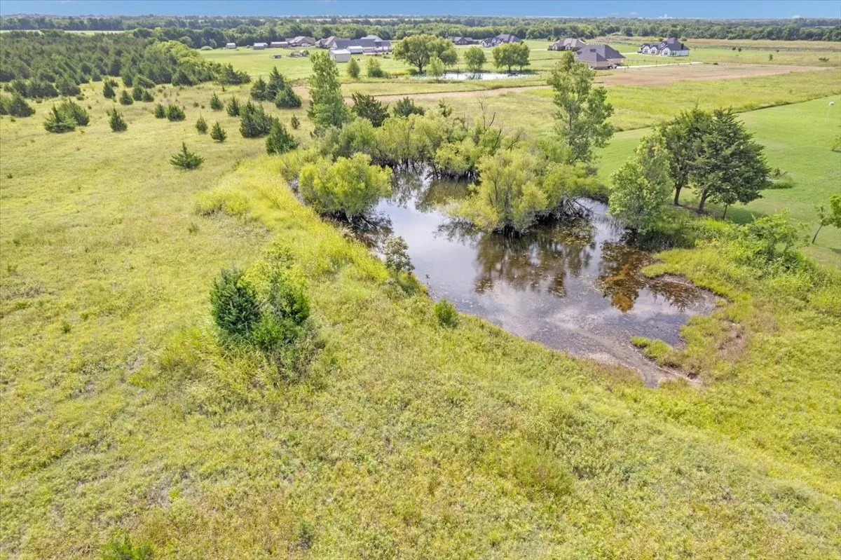 Lovely pond #1