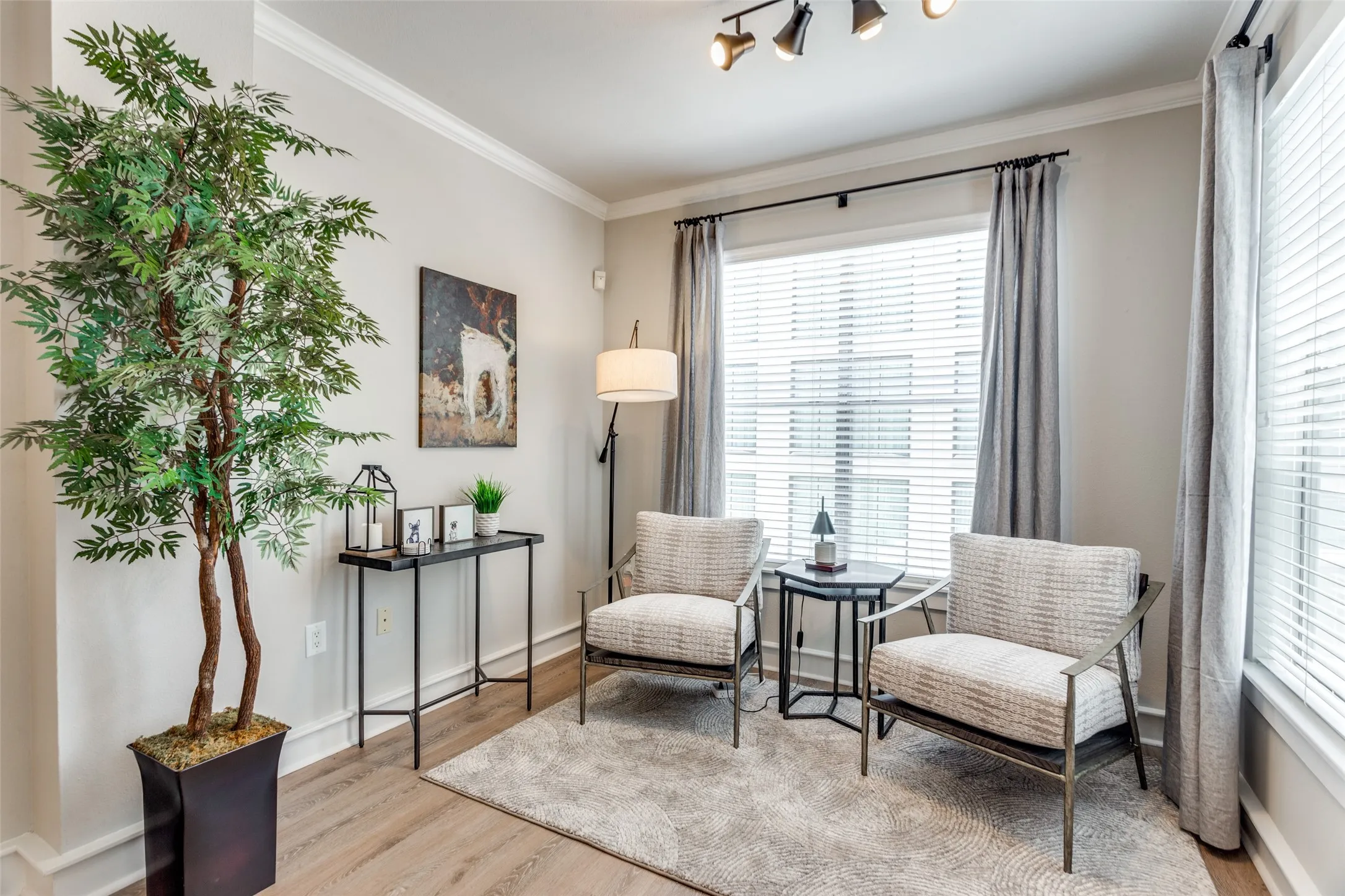 The sitting room gets a lot of natural light.