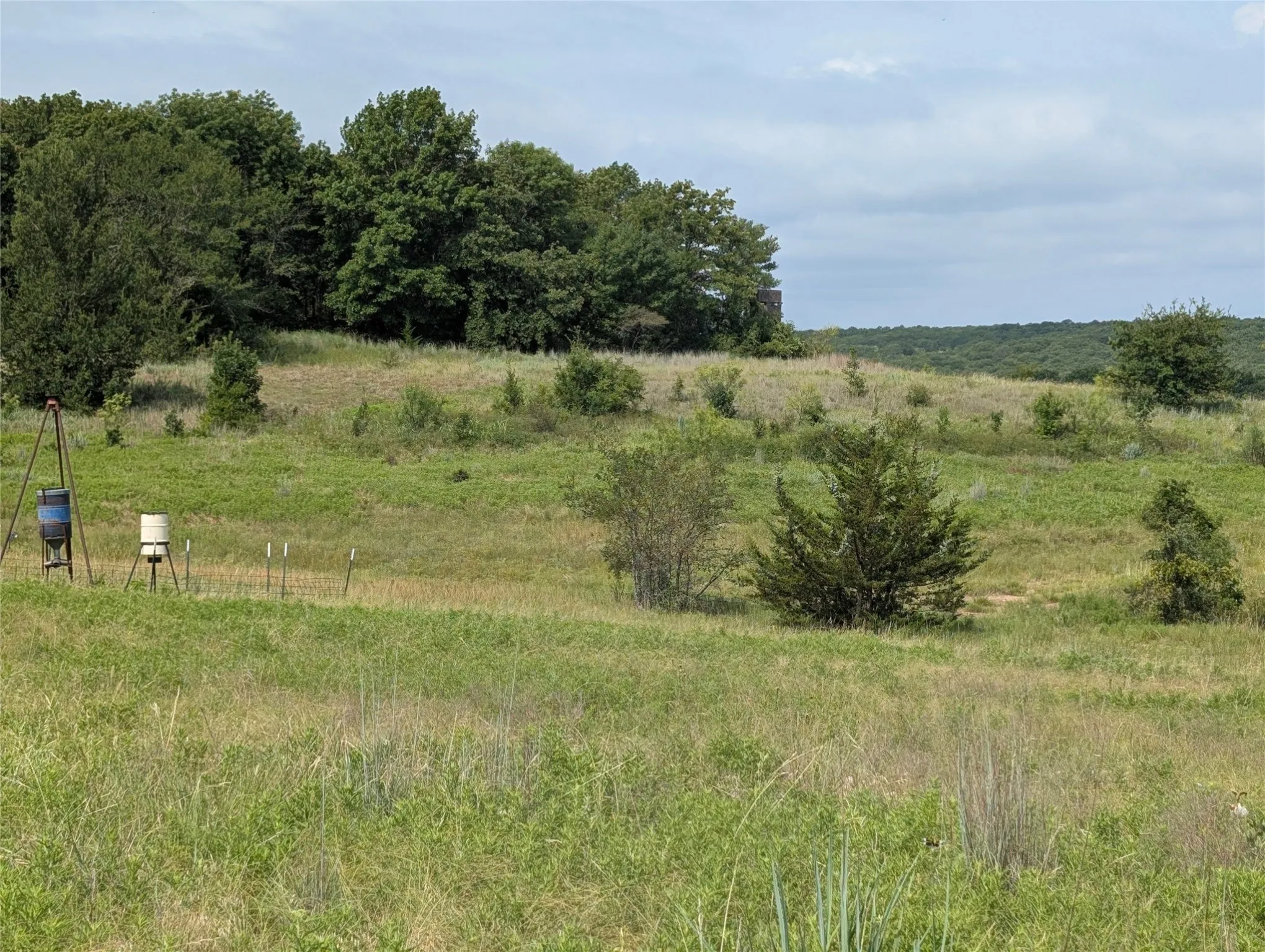 Bluebonnet Hill looking S