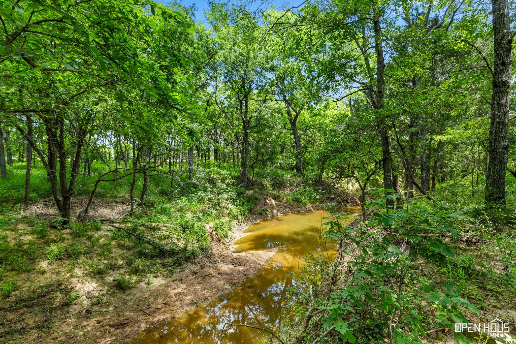 Cottonwood Creek
