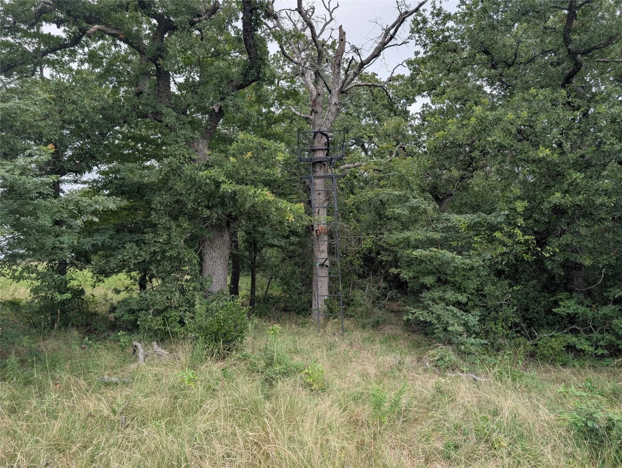 Example of 2 man ladder stands