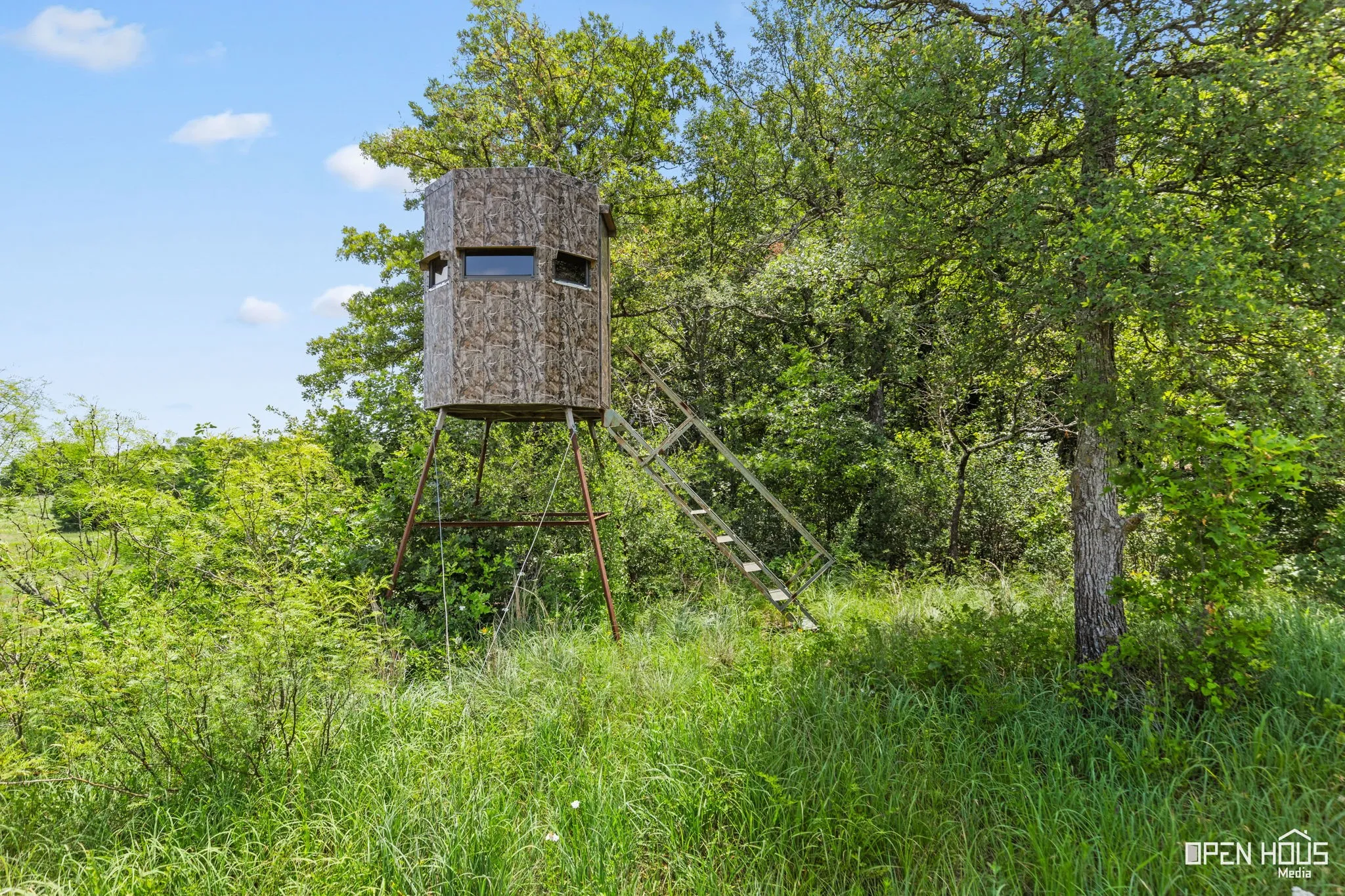 Ranch King Blind