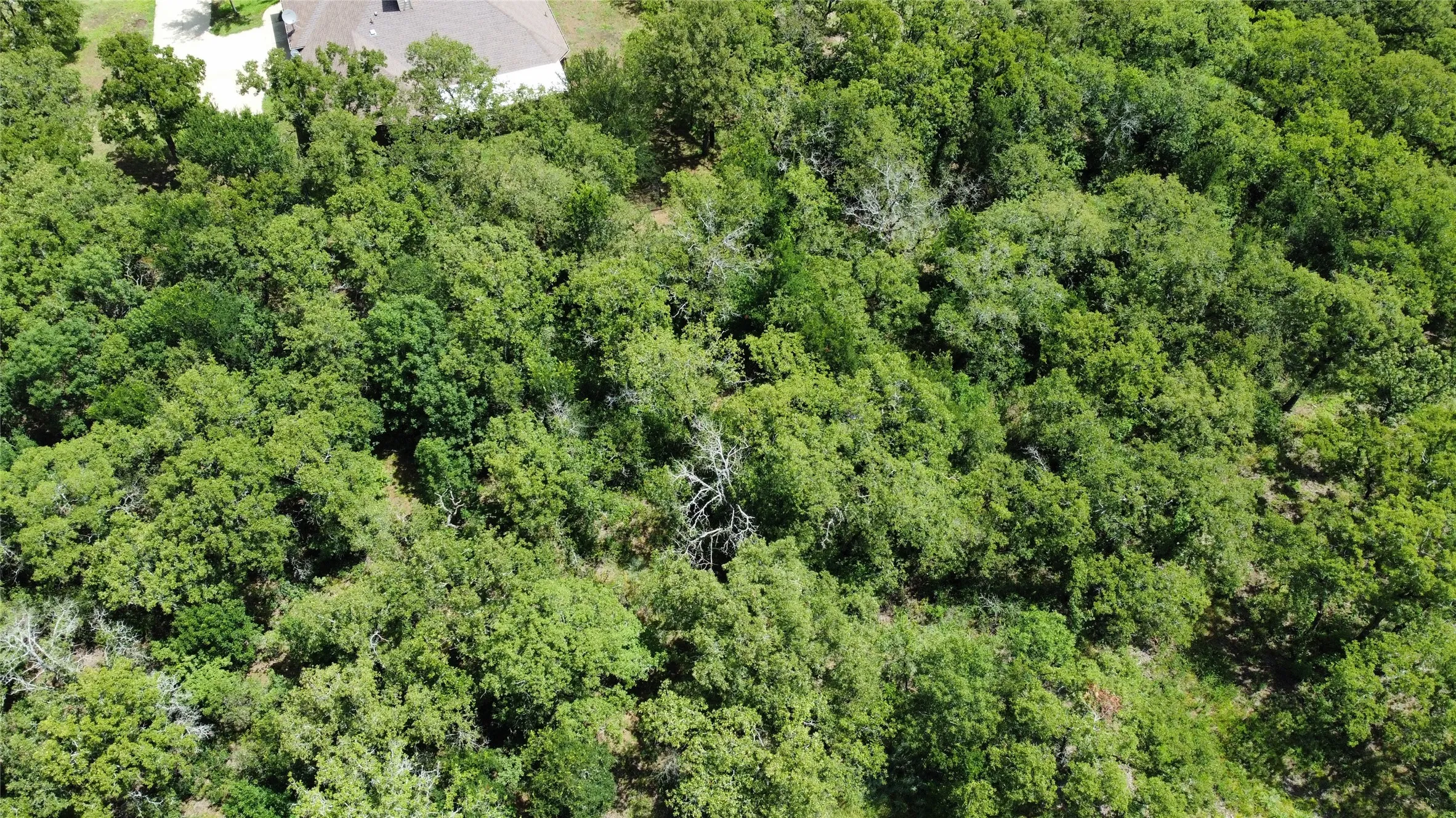 Unimproved Land For Sale in Wise County , n/a Comewell Court, Runaway Bay, Texas 76426, 0, 0, Garage spaces, 0 Sqft, built in 0, mls#20996399, Real Estate Agent in Runaway Bay, Homes For Sale in Wise county, Homes For Sale in Runaway Bay, Realtor in Runaway Bay Texas, Real Estate Brokerage Independent Realty Texas, Luminita Cordes Realtor