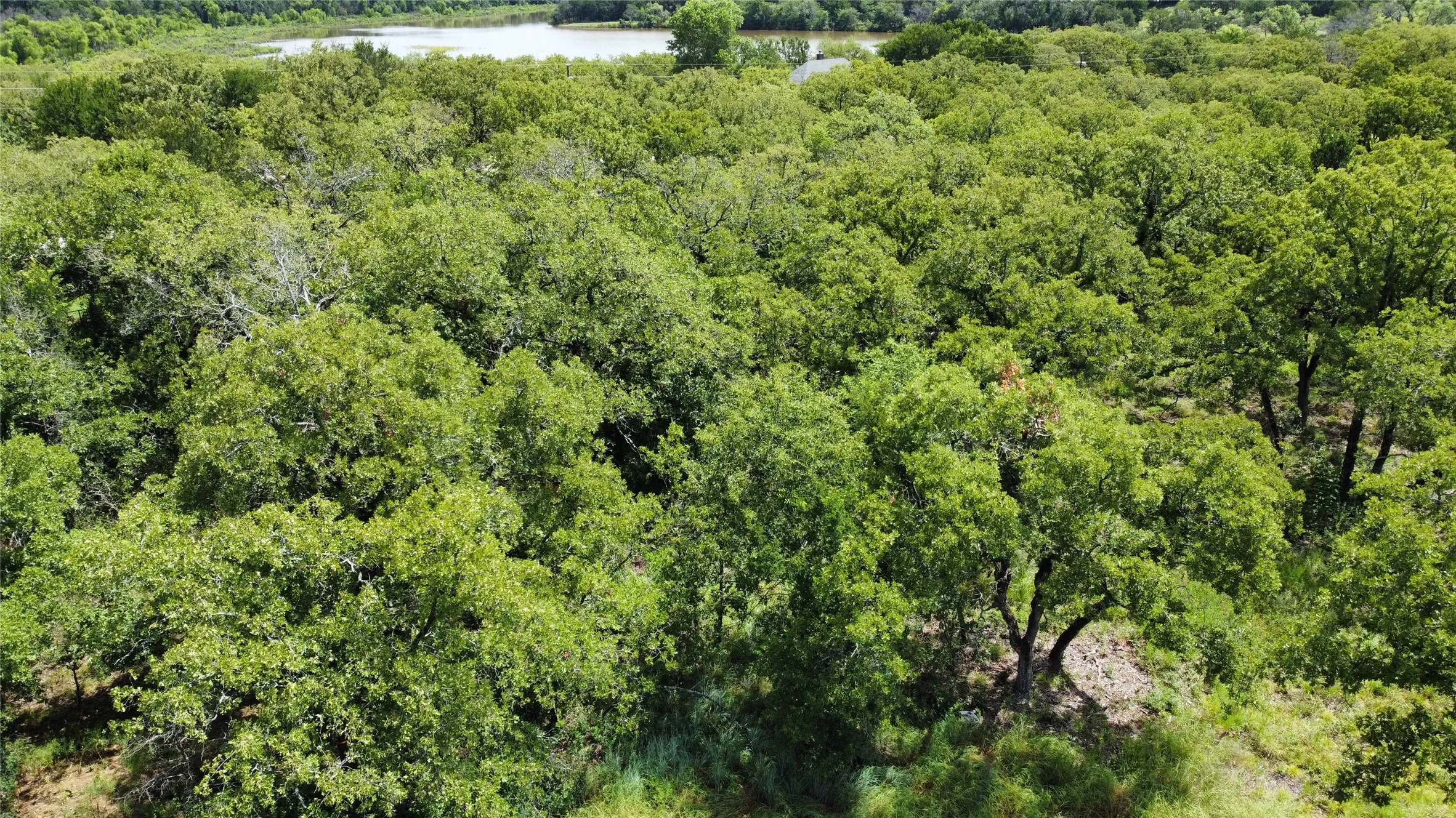 Unimproved Land For Sale in Wise County , n/a Comewell Court, Runaway Bay, Texas 76426, 0, 0, Garage spaces, 0 Sqft, built in 0, mls#20996399, Real Estate Agent in Runaway Bay, Homes For Sale in Wise county, Homes For Sale in Runaway Bay, Realtor in Runaway Bay Texas, Real Estate Brokerage Independent Realty Texas, Luminita Cordes Realtor