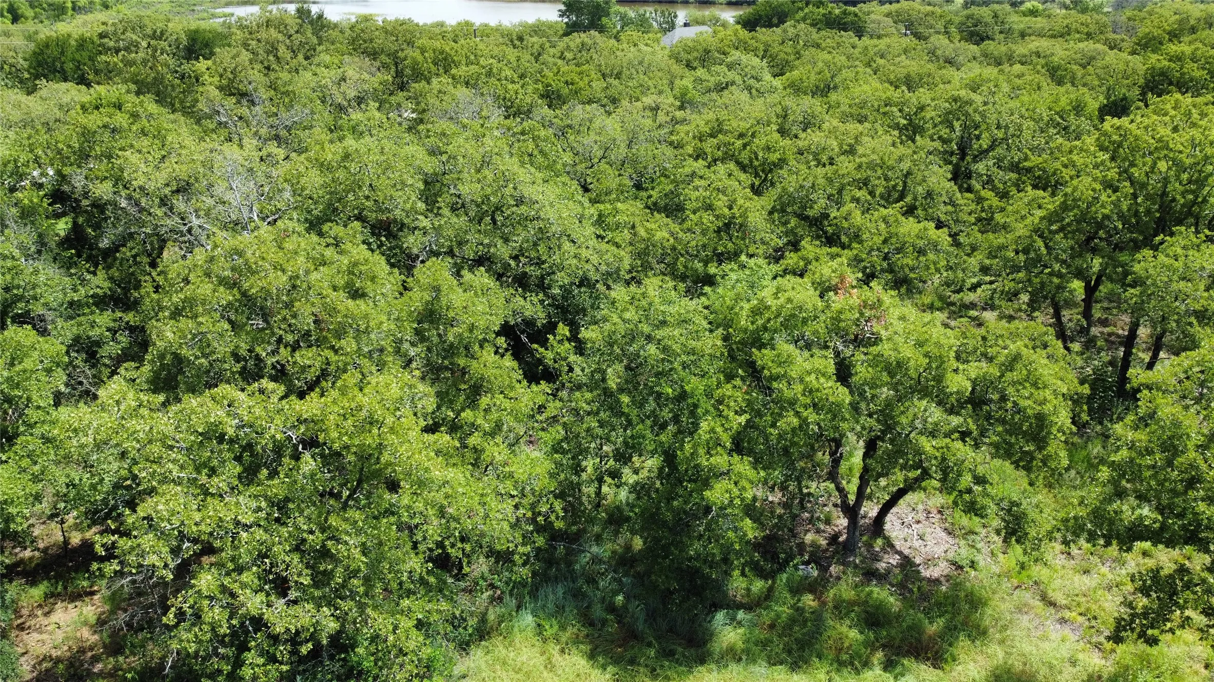 Unimproved Land For Sale in Wise County , n/a Comewell Court, Runaway Bay, Texas 76426, 0, 0, Garage spaces, 0 Sqft, built in 0, mls#20996399, Real Estate Agent in Runaway Bay, Homes For Sale in Wise county, Homes For Sale in Runaway Bay, Realtor in Runaway Bay Texas, Real Estate Brokerage Independent Realty Texas, Luminita Cordes Realtor