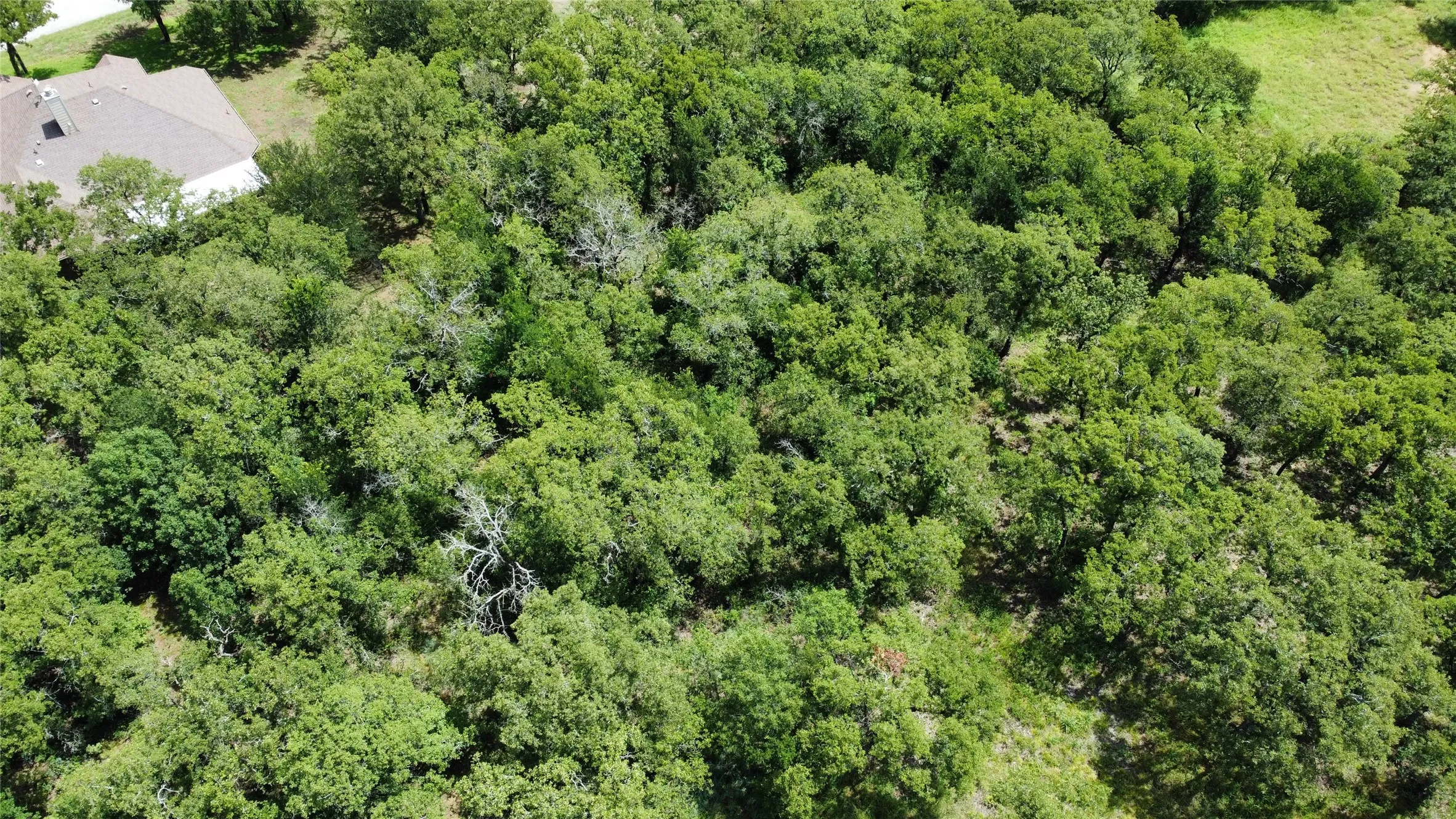 Unimproved Land For Sale in Wise County , n/a Comewell Court, Runaway Bay, Texas 76426, 0, 0, Garage spaces, 0 Sqft, built in 0, mls#20996399, Real Estate Agent in Runaway Bay, Homes For Sale in Wise county, Homes For Sale in Runaway Bay, Realtor in Runaway Bay Texas, Real Estate Brokerage Independent Realty Texas, Luminita Cordes Realtor