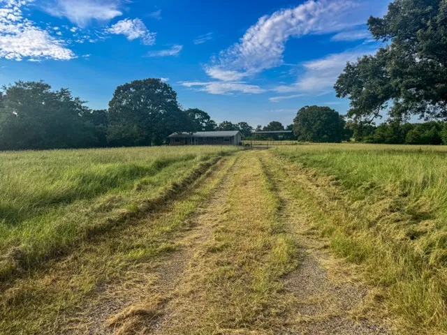 Ranch For Sale in Smith County , 19574 FM 1253, Lindale, Texas 75771, 0, 0, Garage spaces, 0 Sqft, built in 0, Price $700,000, mls#20996971, Real Estate Agent in Lindale, Homes For Sale in Smith county, Homes For Sale in Lindale, Realtor in Lindale Texas, Real Estate Brokerage Independent Realty Texas, Luminita Cordes Realtor