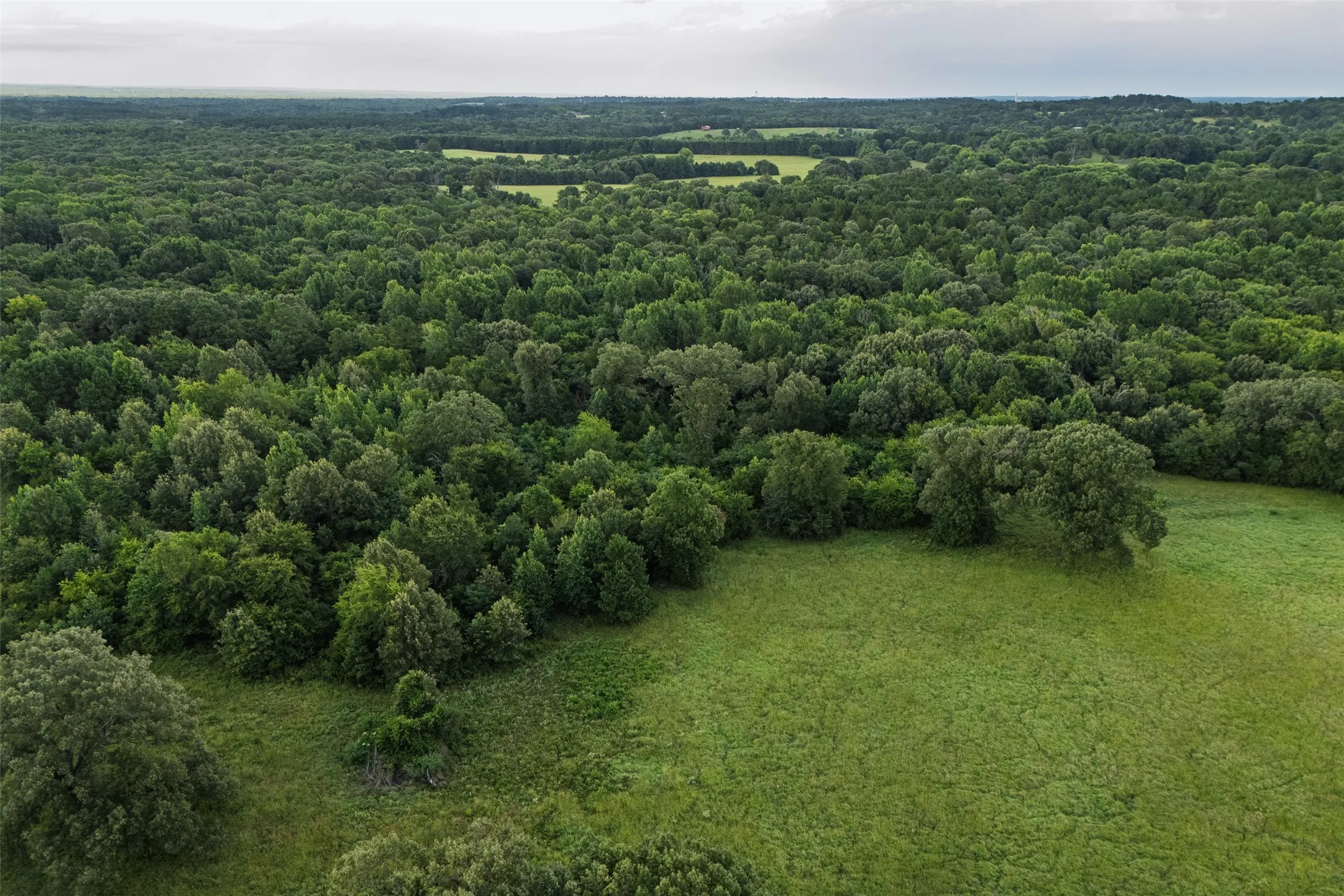Ranch For Sale in Smith County , 19574 FM 1253, Lindale, Texas 75771, 0, 0, Garage spaces, 0 Sqft, built in 0, Price $700,000, mls#20996971, Real Estate Agent in Lindale, Homes For Sale in Smith county, Homes For Sale in Lindale, Realtor in Lindale Texas, Real Estate Brokerage Independent Realty Texas, Luminita Cordes Realtor