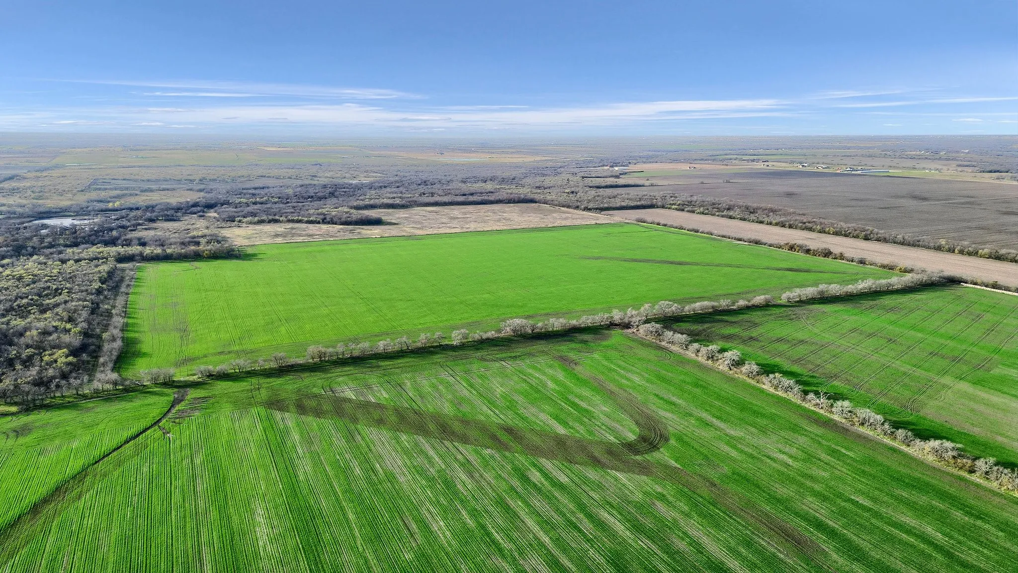 Unimproved Land For Sale in Grayson County , TBD Wall Street Road, Gunter, Texas 75058, 0, 0, Garage spaces, 0 Sqft, built in 0, Price $7,410,000, mls#20997027, Real Estate Agent in Gunter, Homes For Sale in Grayson county, Homes For Sale in Gunter, Realtor in Gunter Texas, Real Estate Brokerage Independent Realty Texas, Luminita Cordes Realtor