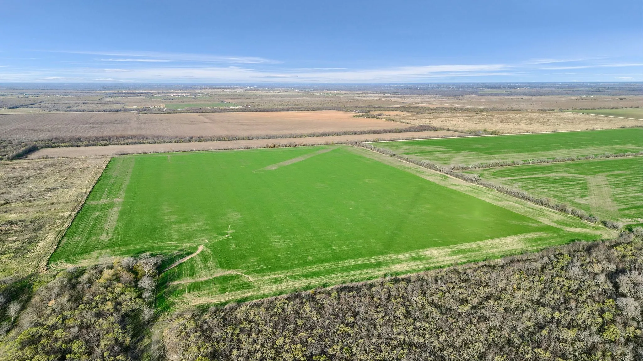 Unimproved Land For Sale in Grayson County , TBD Wall Street Road, Gunter, Texas 75058, 0, 0, Garage spaces, 0 Sqft, built in 0, Price $7,410,000, mls#20997027, Real Estate Agent in Gunter, Homes For Sale in Grayson county, Homes For Sale in Gunter, Realtor in Gunter Texas, Real Estate Brokerage Independent Realty Texas, Luminita Cordes Realtor