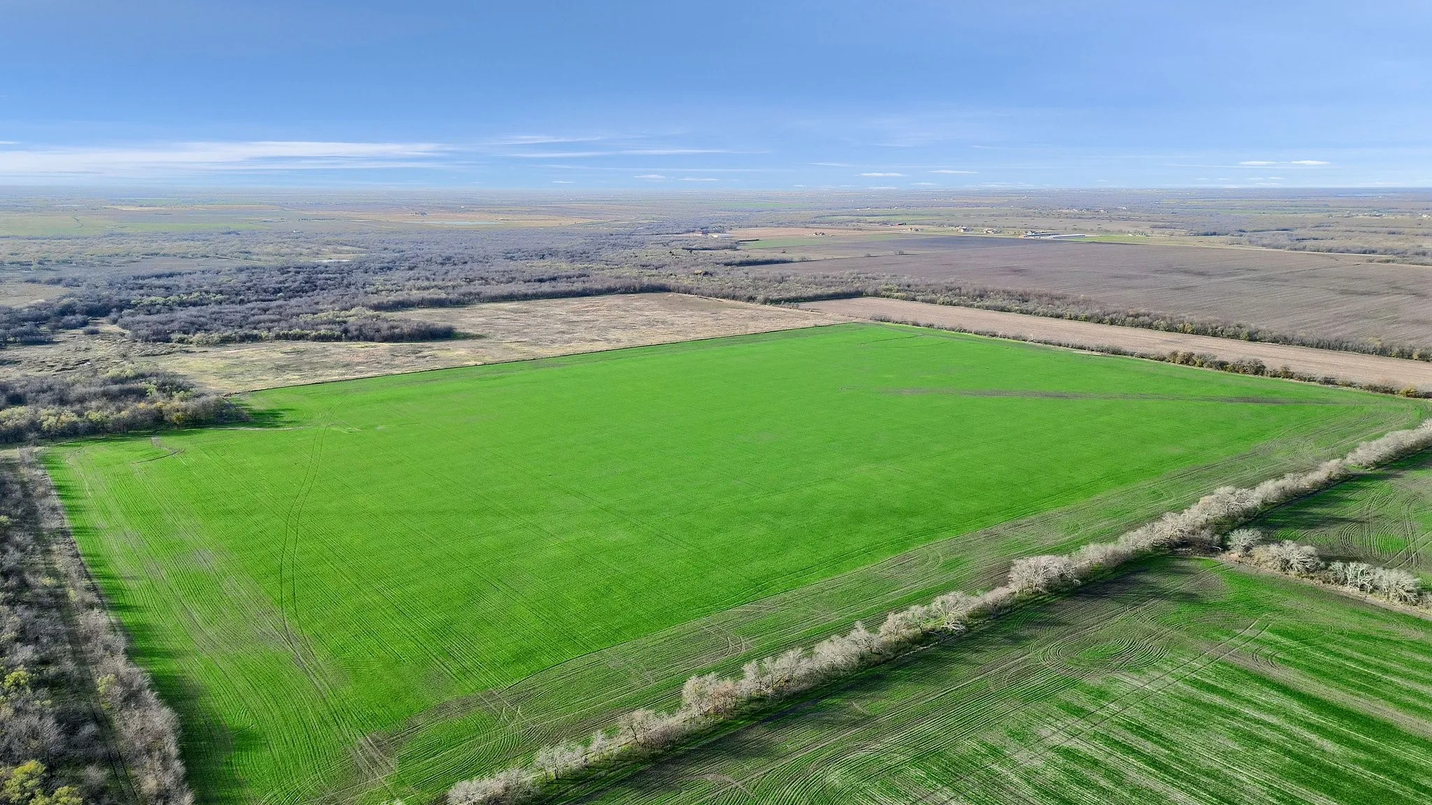 Unimproved Land For Sale in Grayson County , TBD Wall Street Road, Gunter, Texas 75058, 0, 0, Garage spaces, 0 Sqft, built in 0, Price $7,410,000, mls#20997027, Real Estate Agent in Gunter, Homes For Sale in Grayson county, Homes For Sale in Gunter, Realtor in Gunter Texas, Real Estate Brokerage Independent Realty Texas, Luminita Cordes Realtor
