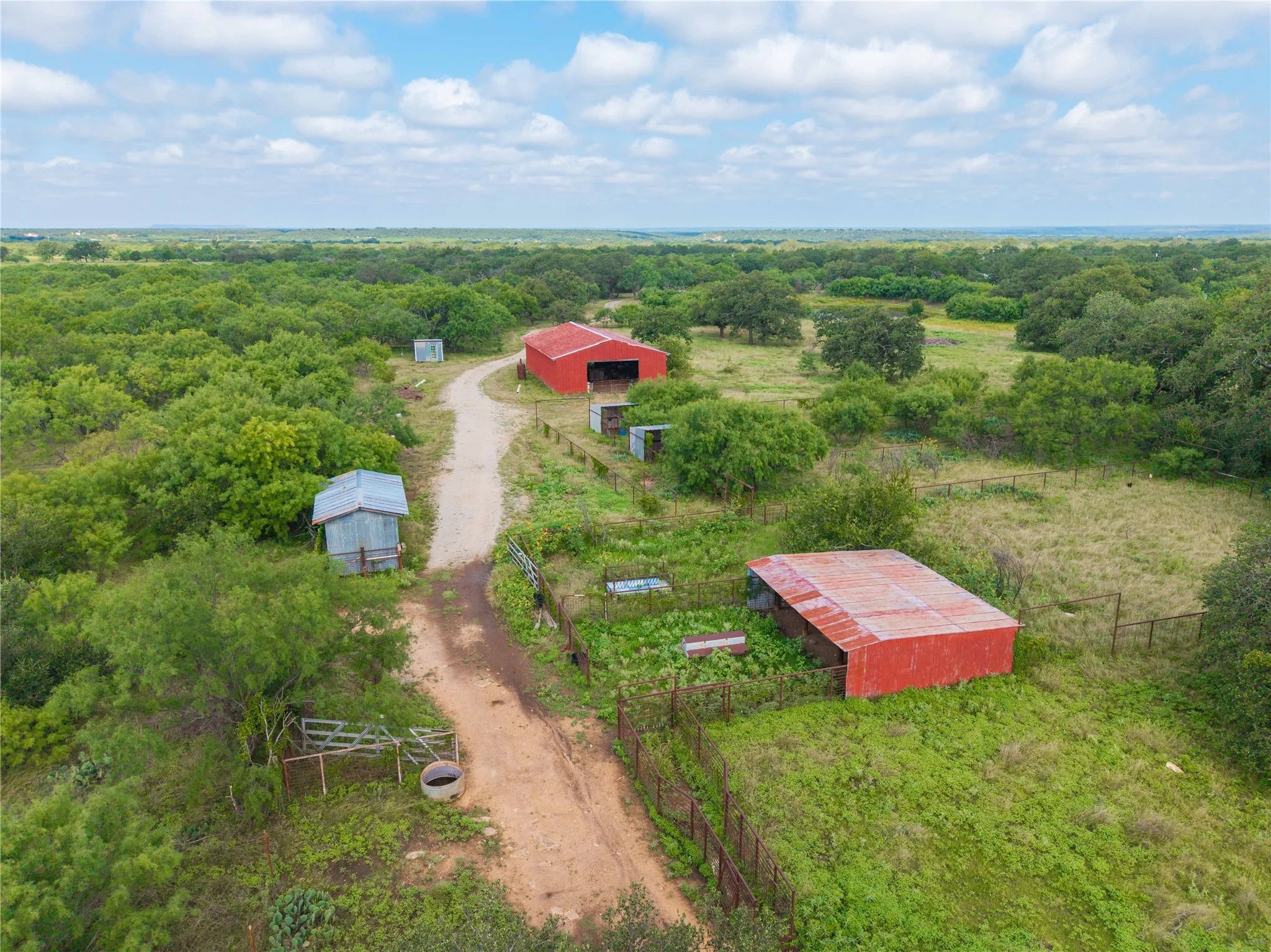 Aerial view of a forest