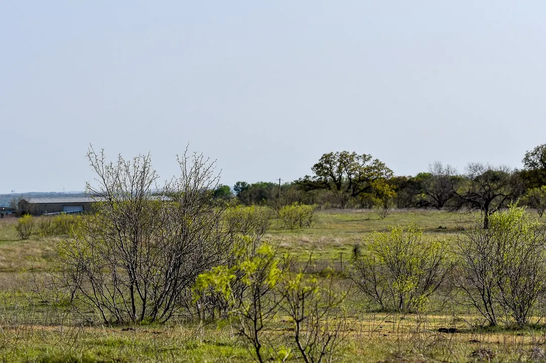 Unimproved Land For Sale in Wise County , TBD FM 51, Decatur, Texas 76234, 0, 0, Garage spaces, 0 Sqft, built in 0, Preowned, mls#20997413, Real Estate Agent in Decatur, Homes For Sale in Wise county, Homes For Sale in Decatur, Realtor in Decatur Texas, Real Estate Brokerage Independent Realty Texas, Luminita Cordes Realtor