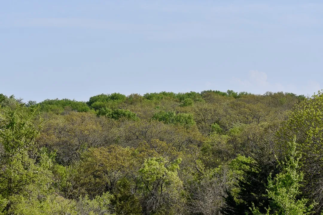 Unimproved Land For Sale in Wise County , TBD FM 51, Decatur, Texas 76234, 0, 0, Garage spaces, 0 Sqft, built in 0, Preowned, mls#20997413, Real Estate Agent in Decatur, Homes For Sale in Wise county, Homes For Sale in Decatur, Realtor in Decatur Texas, Real Estate Brokerage Independent Realty Texas, Luminita Cordes Realtor