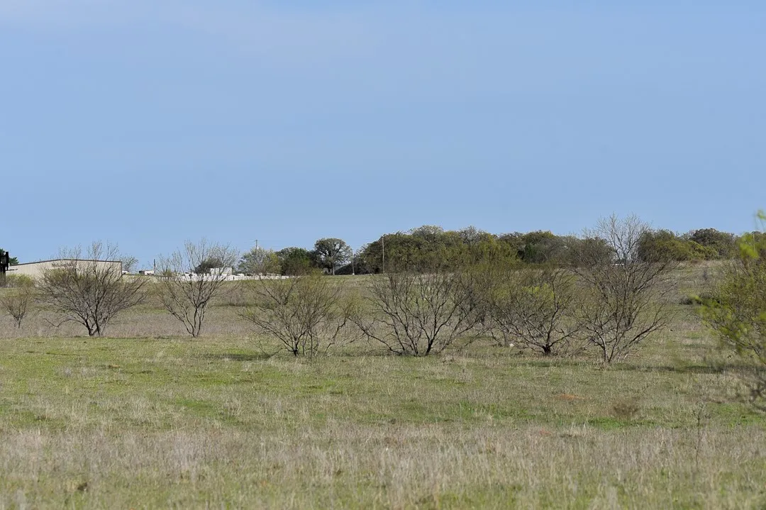 Unimproved Land For Sale in Wise County , TBD FM 51, Decatur, Texas 76234, 0, 0, Garage spaces, 0 Sqft, built in 0, Preowned, mls#20997413, Real Estate Agent in Decatur, Homes For Sale in Wise county, Homes For Sale in Decatur, Realtor in Decatur Texas, Real Estate Brokerage Independent Realty Texas, Luminita Cordes Realtor