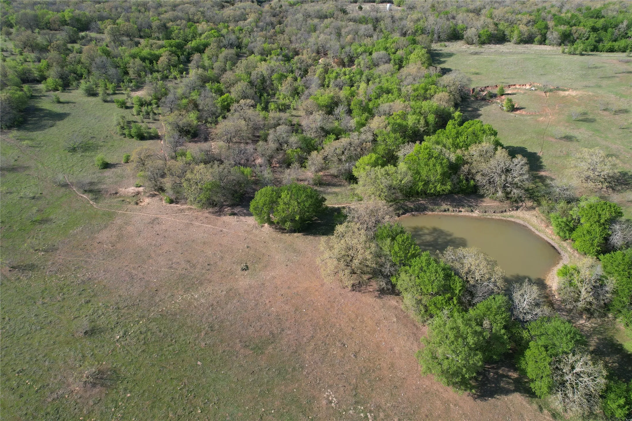 Unimproved Land For Sale in Wise County , TBD FM 51, Decatur, Texas 76234, 0, 0, Garage spaces, 0 Sqft, built in 0, Preowned, mls#20997413, Real Estate Agent in Decatur, Homes For Sale in Wise county, Homes For Sale in Decatur, Realtor in Decatur Texas, Real Estate Brokerage Independent Realty Texas, Luminita Cordes Realtor