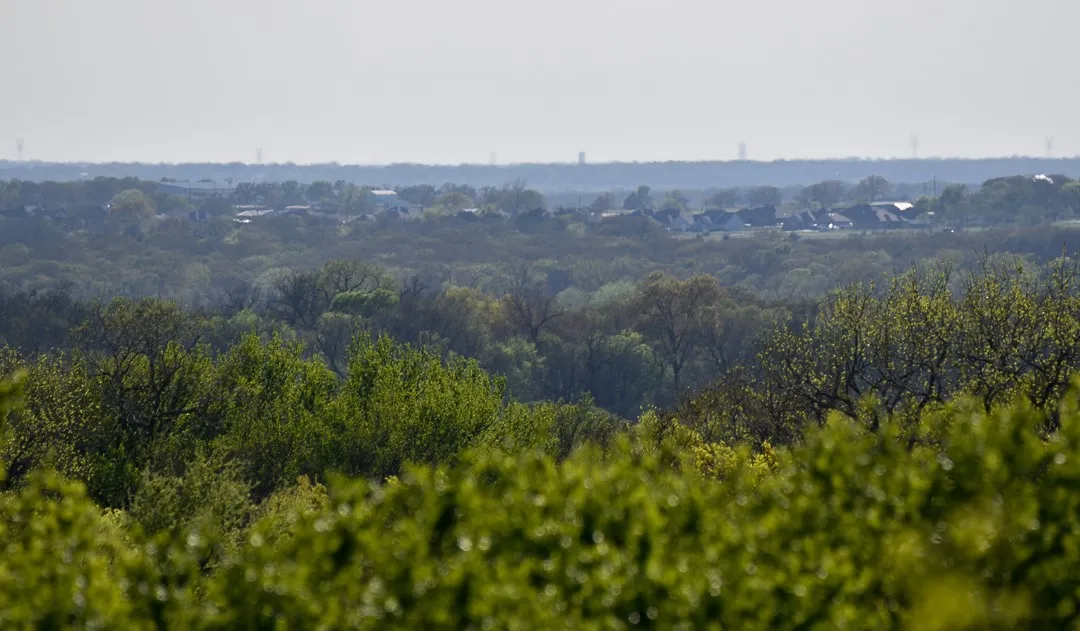 Unimproved Land For Sale in Wise County , TBD FM 51, Decatur, Texas 76234, 0, 0, Garage spaces, 0 Sqft, built in 0, Preowned, mls#20997413, Real Estate Agent in Decatur, Homes For Sale in Wise county, Homes For Sale in Decatur, Realtor in Decatur Texas, Real Estate Brokerage Independent Realty Texas, Luminita Cordes Realtor
