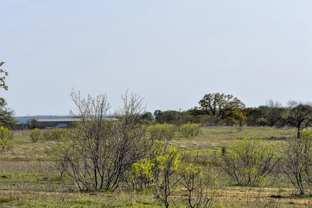 Unimproved Land For Sale in Wise County , TBD FM 51, Decatur, Texas 76234, 0, 0, Garage spaces, 0 Sqft, built in 0, Preowned, mls#20997413, Real Estate Agent in Decatur, Homes For Sale in Wise county, Homes For Sale in Decatur, Realtor in Decatur Texas, Real Estate Brokerage Independent Realty Texas, Luminita Cordes Realtor
