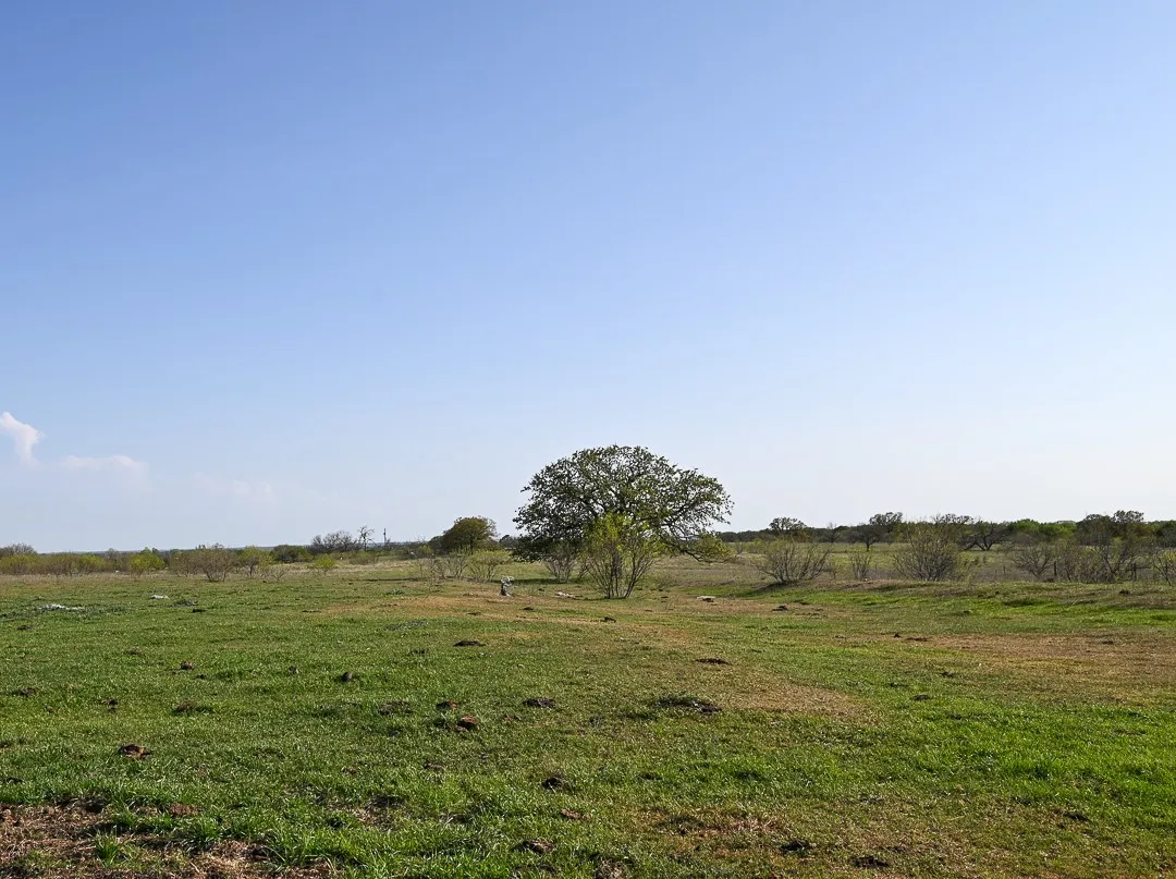 Unimproved Land For Sale in Wise County , TBD FM 51, Decatur, Texas 76234, 0, 0, Garage spaces, 0 Sqft, built in 0, Preowned, mls#20997413, Real Estate Agent in Decatur, Homes For Sale in Wise county, Homes For Sale in Decatur, Realtor in Decatur Texas, Real Estate Brokerage Independent Realty Texas, Luminita Cordes Realtor